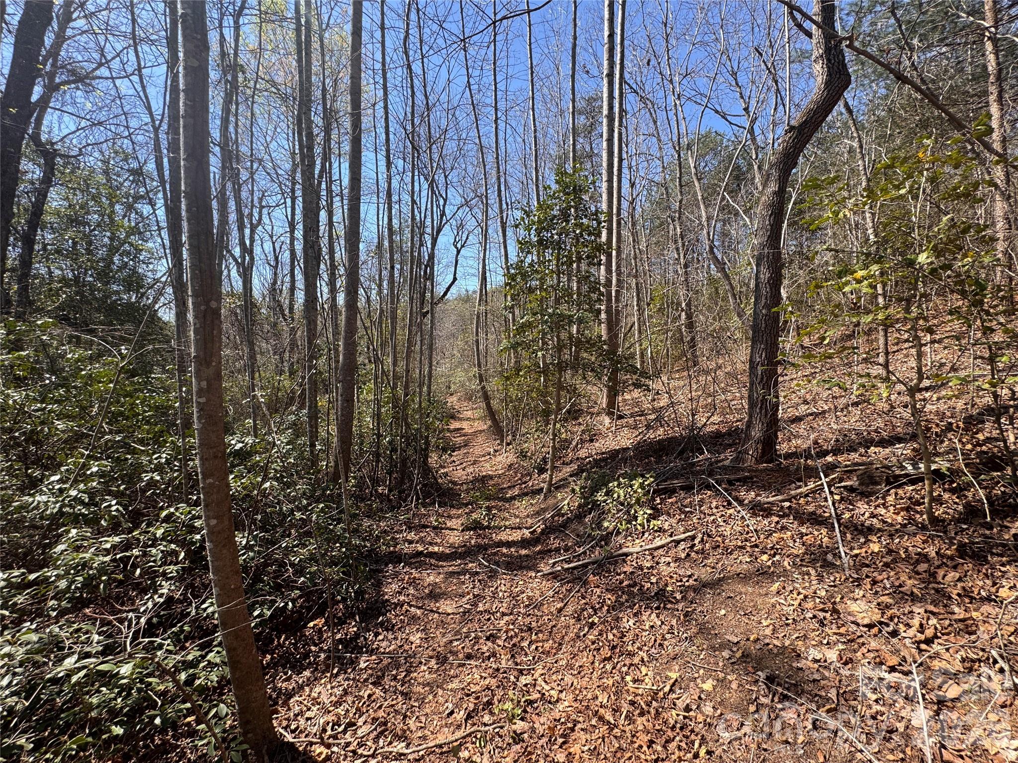 Acreage at 335 Woodrow Hoyle Road, Casar, photo 12 of 32