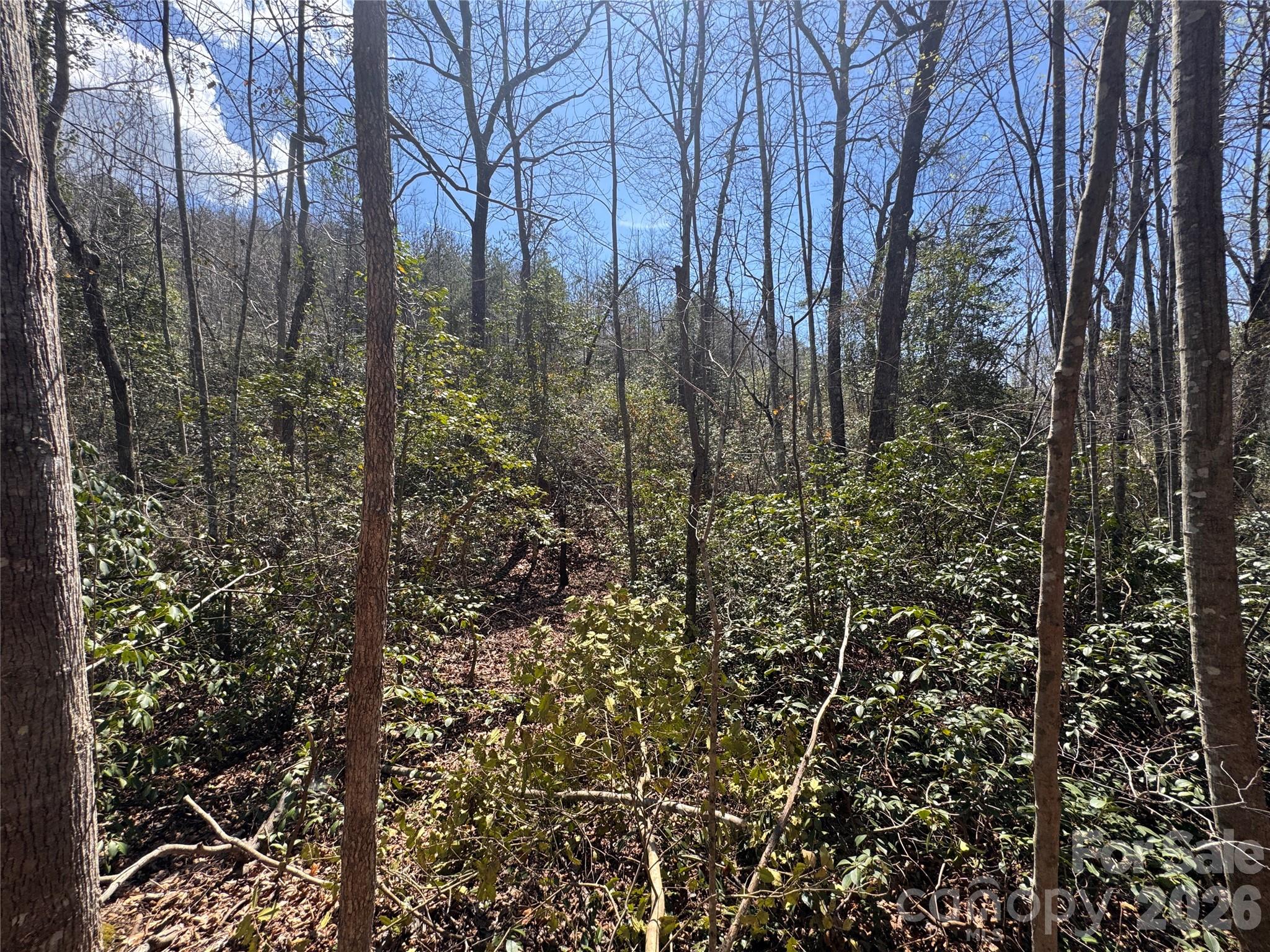 Acreage at 335 Woodrow Hoyle Road, Casar, photo 13 of 32