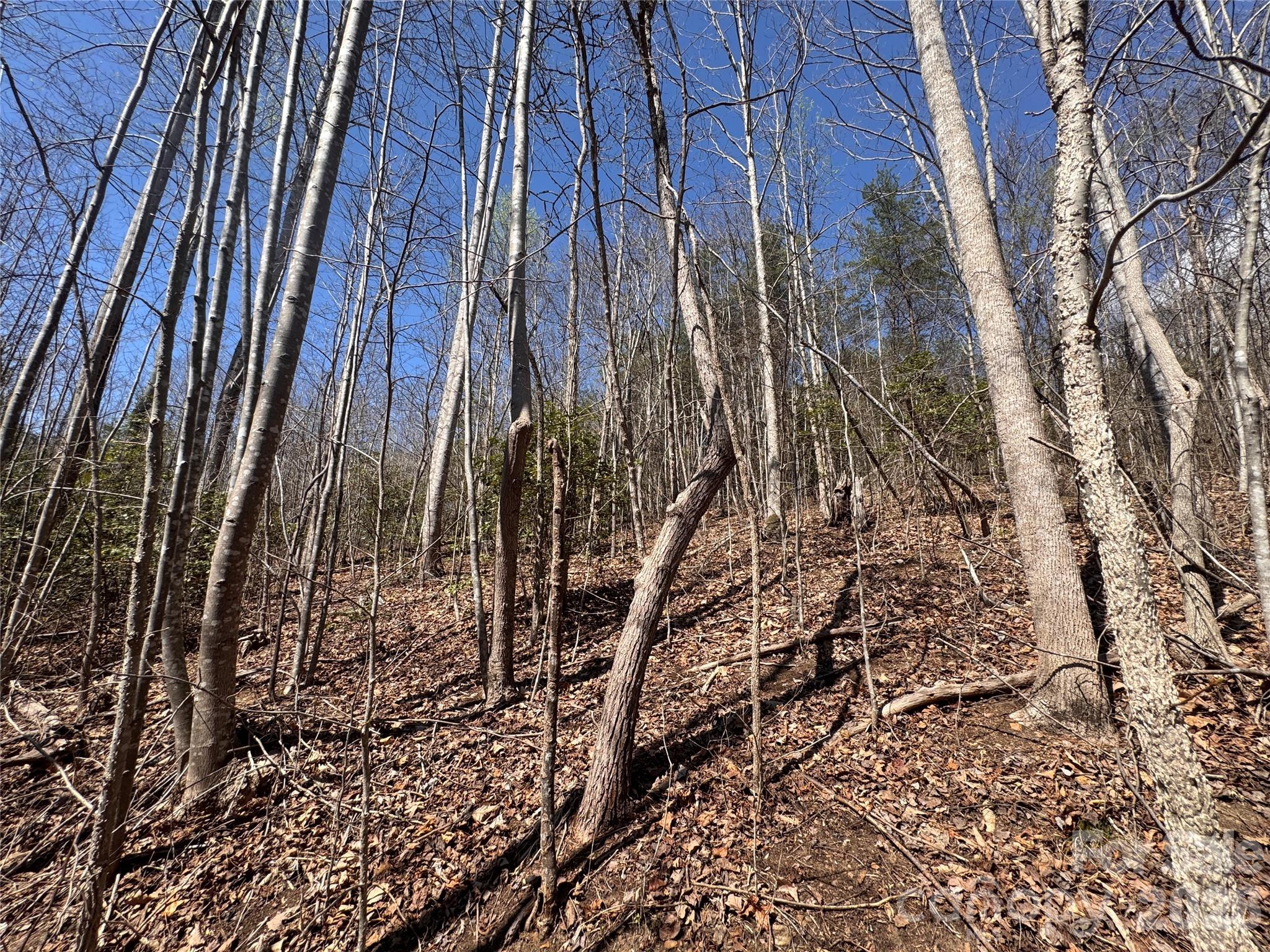 Acreage at 335 Woodrow Hoyle Road, Casar, photo 15 of 32