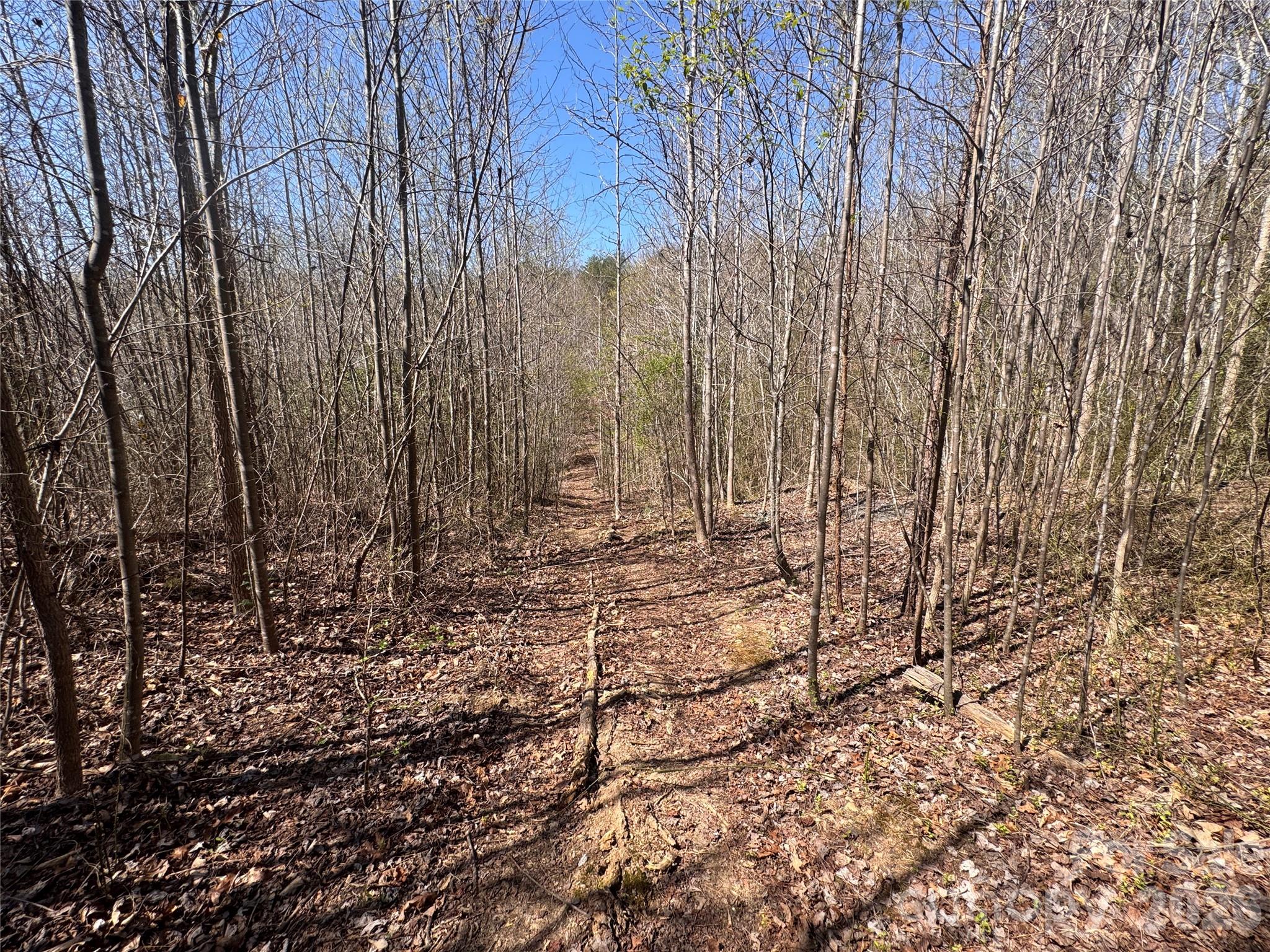 Acreage at 335 Woodrow Hoyle Road, Casar, photo 16 of 32