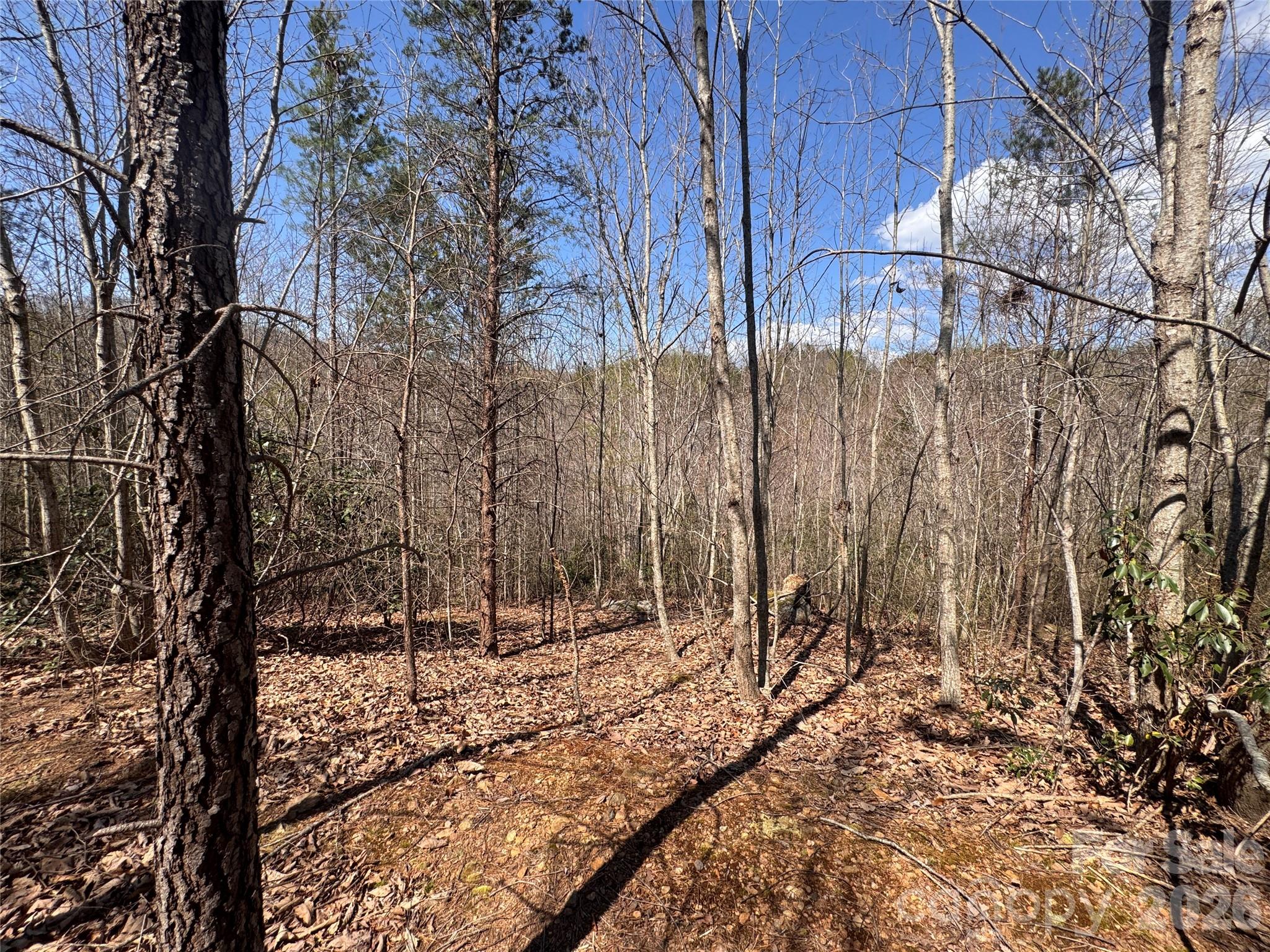 Acreage at 335 Woodrow Hoyle Road, Casar, photo 17 of 32