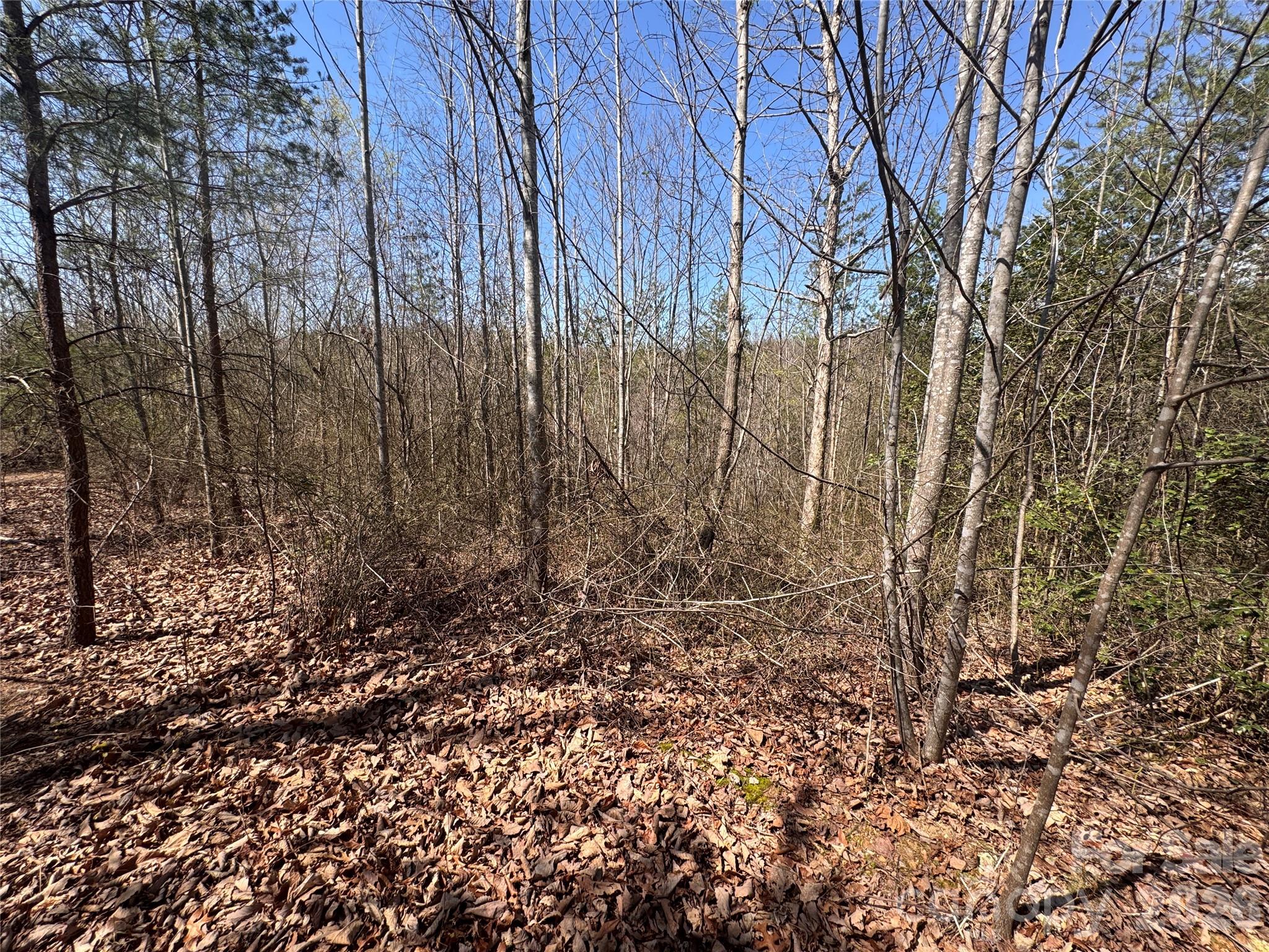 Acreage at 335 Woodrow Hoyle Road, Casar, photo 19 of 32