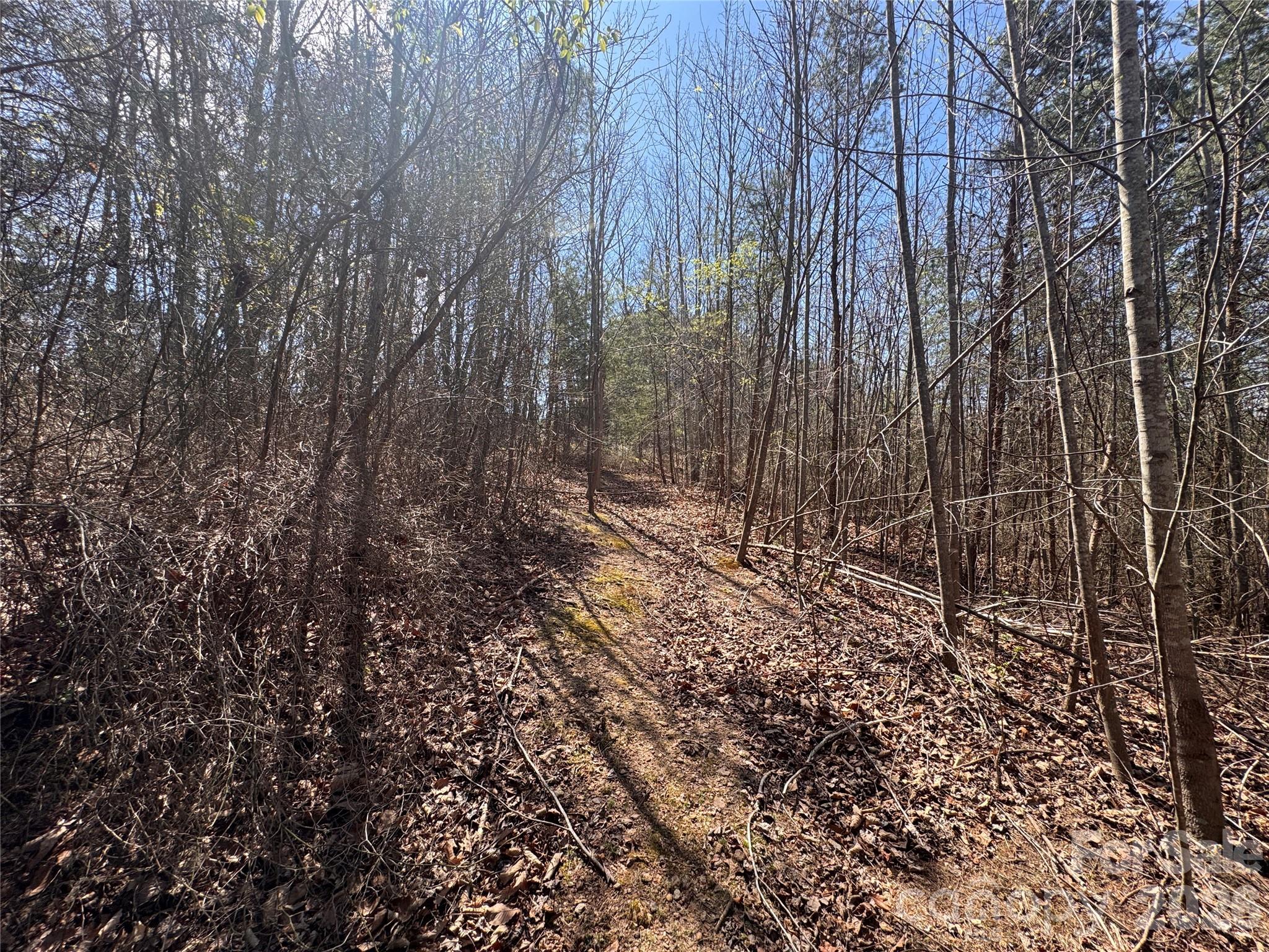 Acreage at 335 Woodrow Hoyle Road, Casar, photo 20 of 32