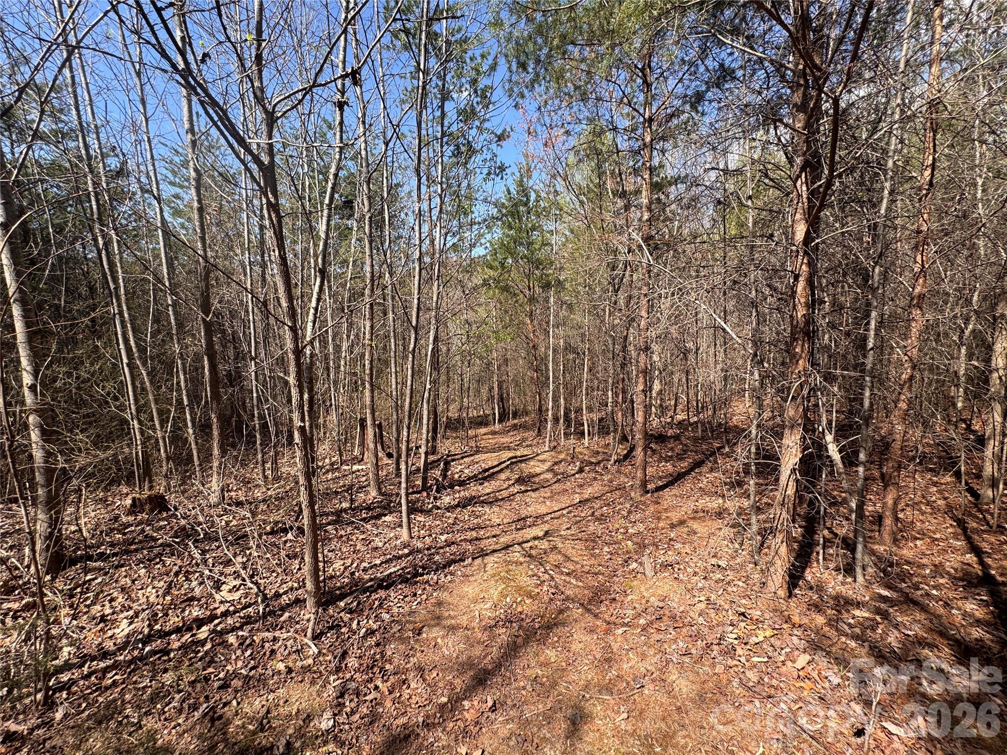 Acreage at 335 Woodrow Hoyle Road, Casar, photo 21 of 32