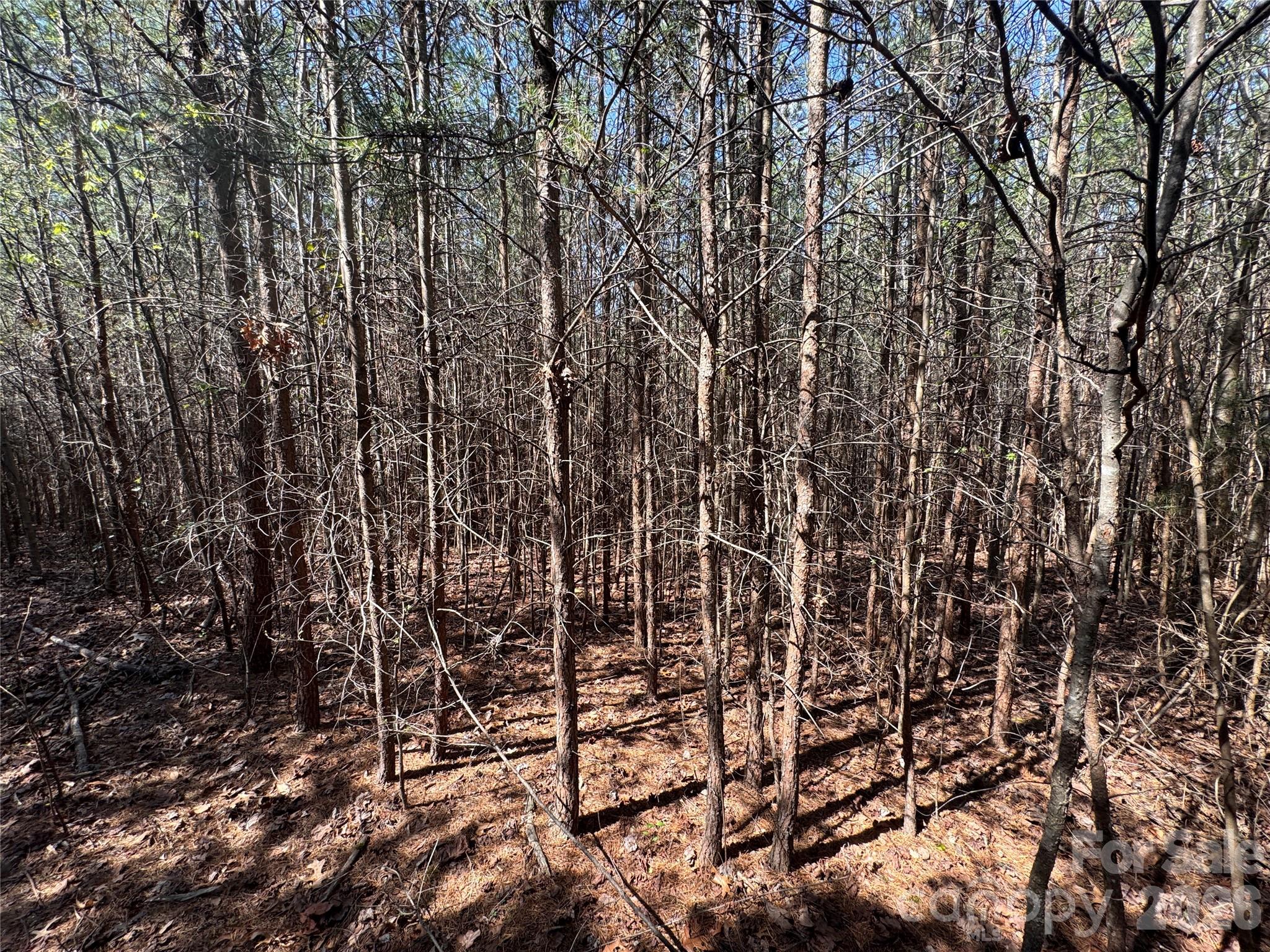 Acreage at 335 Woodrow Hoyle Road, Casar, photo 22 of 32