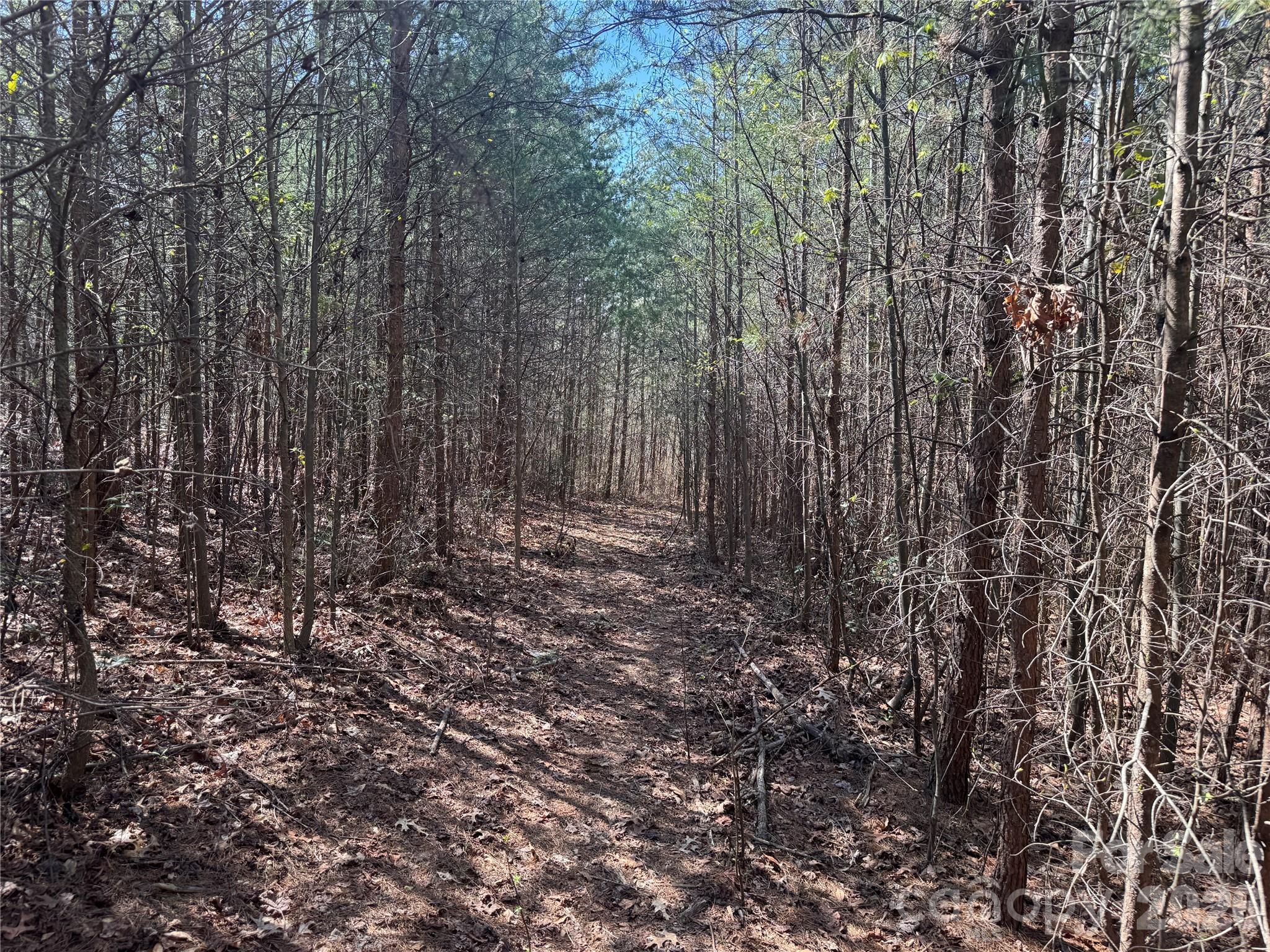 Acreage at 335 Woodrow Hoyle Road, Casar, photo 23 of 32