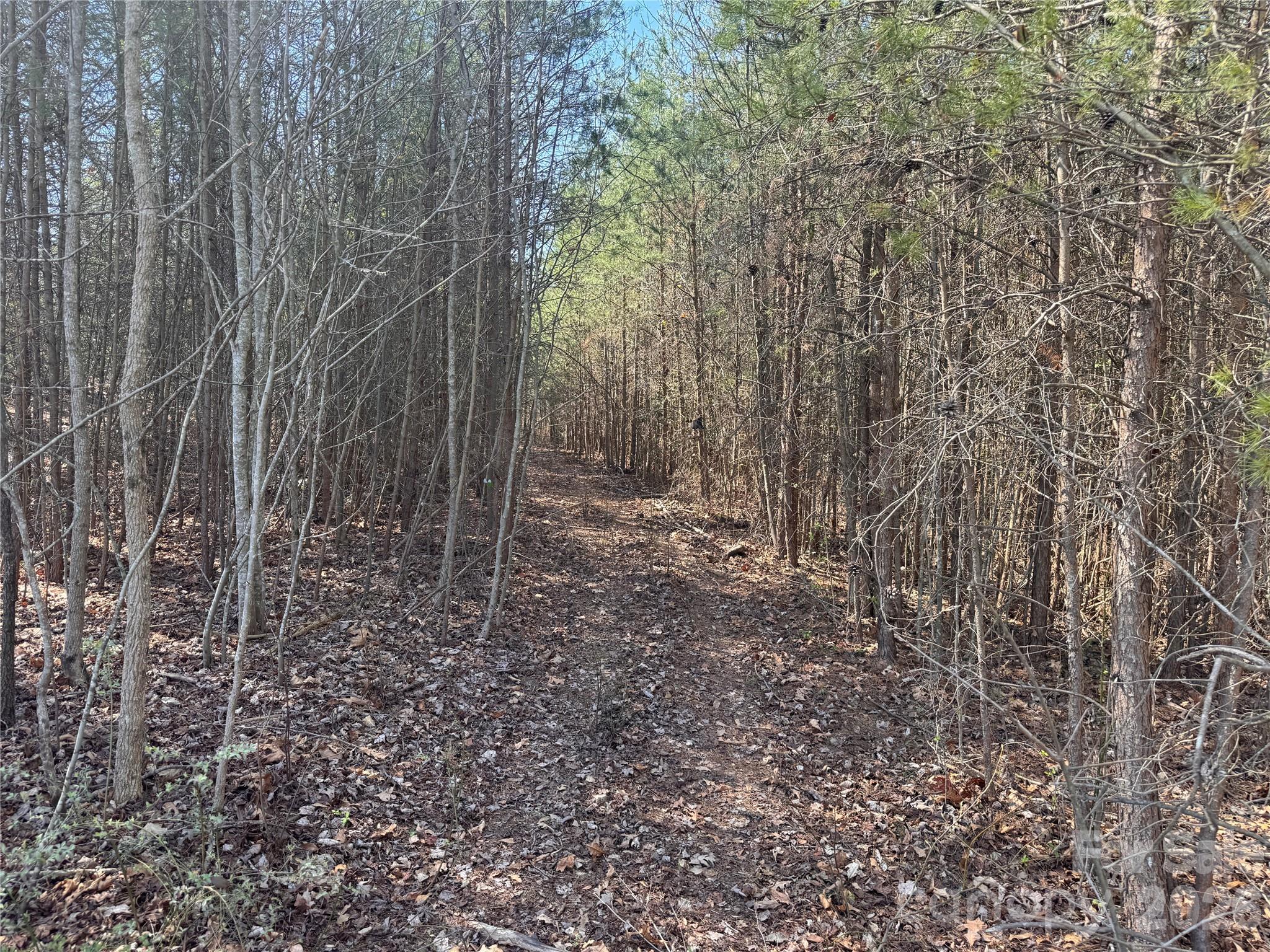 Acreage at 335 Woodrow Hoyle Road, Casar, photo 24 of 32