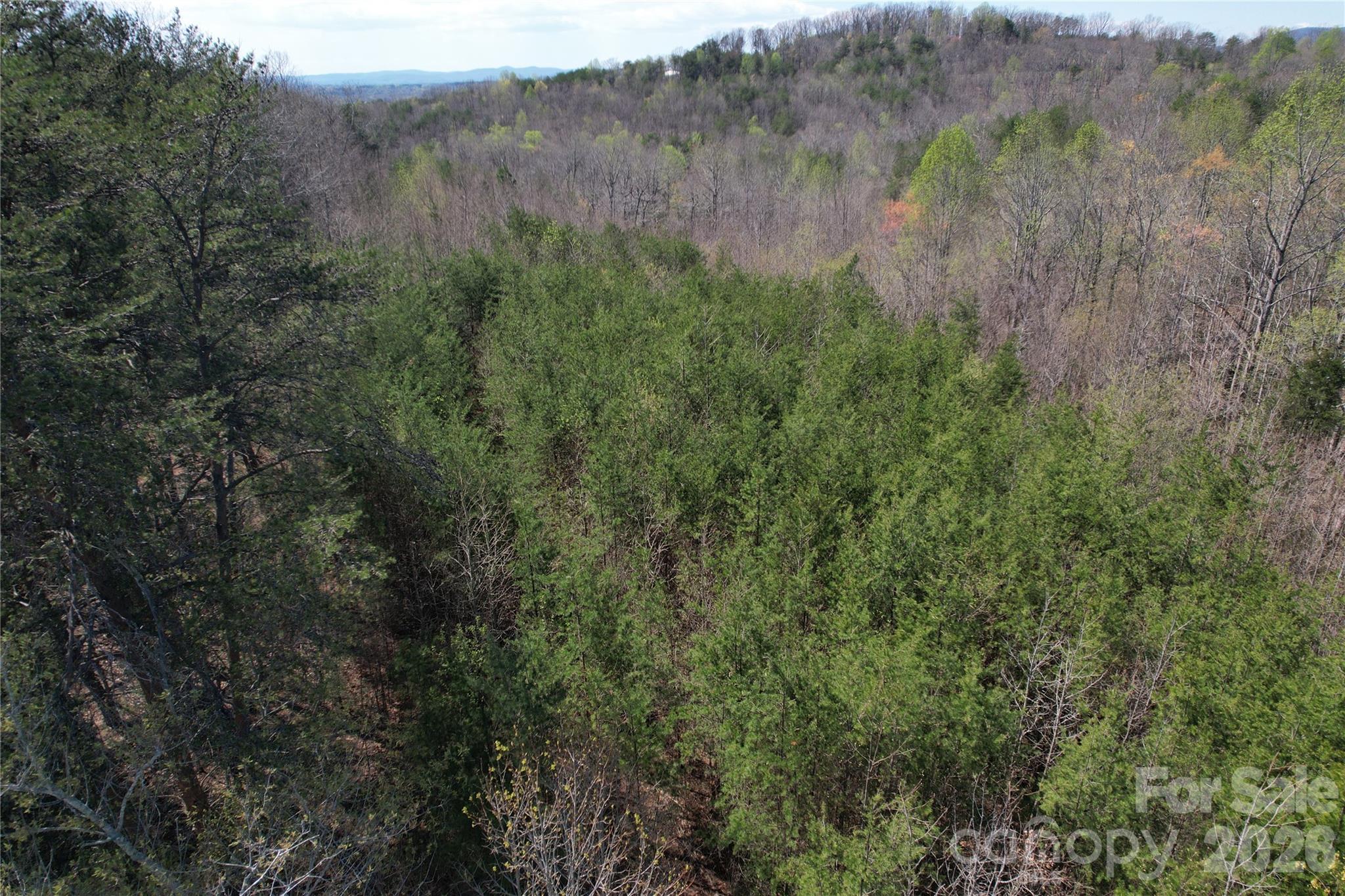 Acreage at 335 Woodrow Hoyle Road, Casar, photo 25 of 32