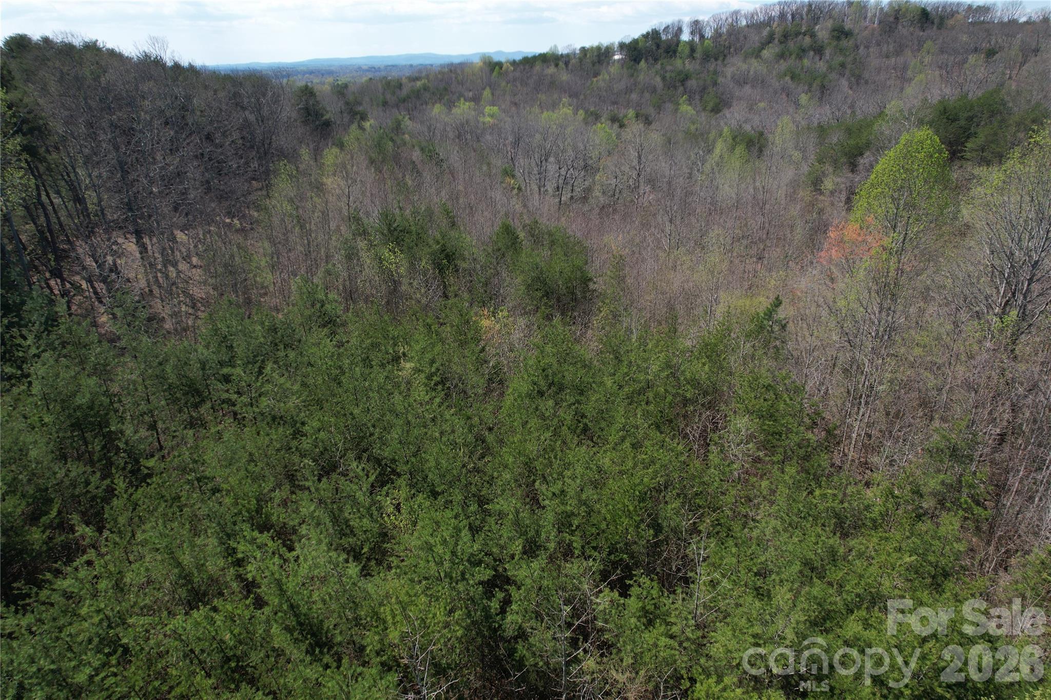 Acreage at 335 Woodrow Hoyle Road, Casar, photo 26 of 32