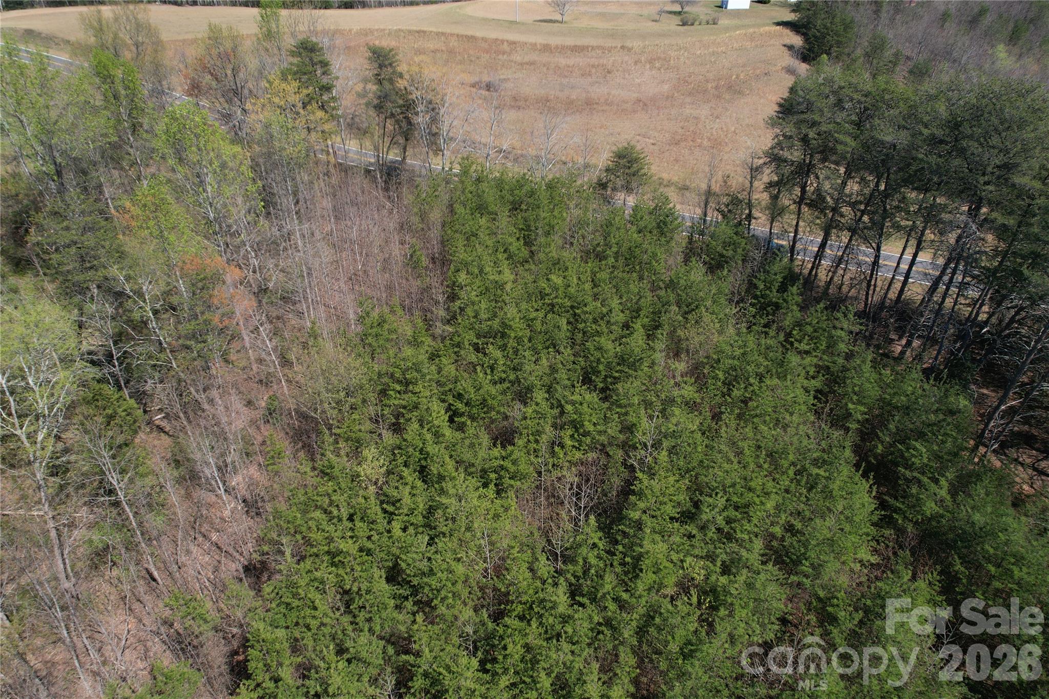 Acreage at 335 Woodrow Hoyle Road, Casar, photo 27 of 32
