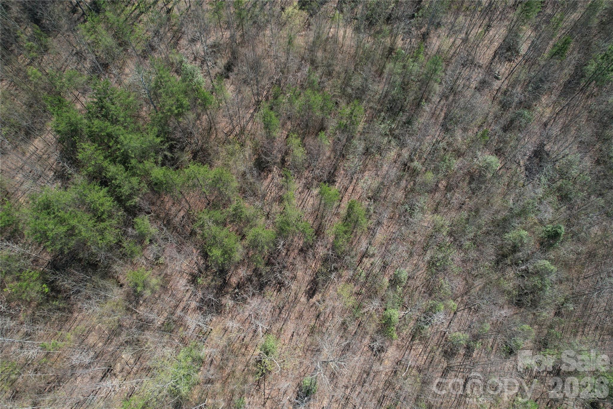 Acreage at 335 Woodrow Hoyle Road, Casar, photo 29 of 32