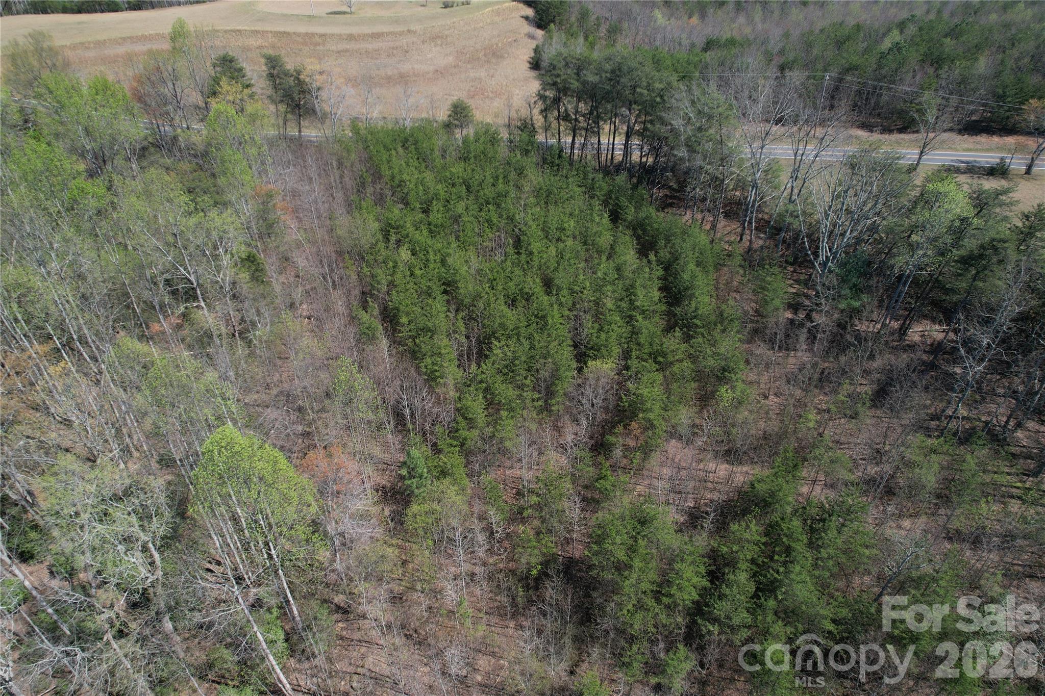 Acreage at 335 Woodrow Hoyle Road, Casar, photo 30 of 32