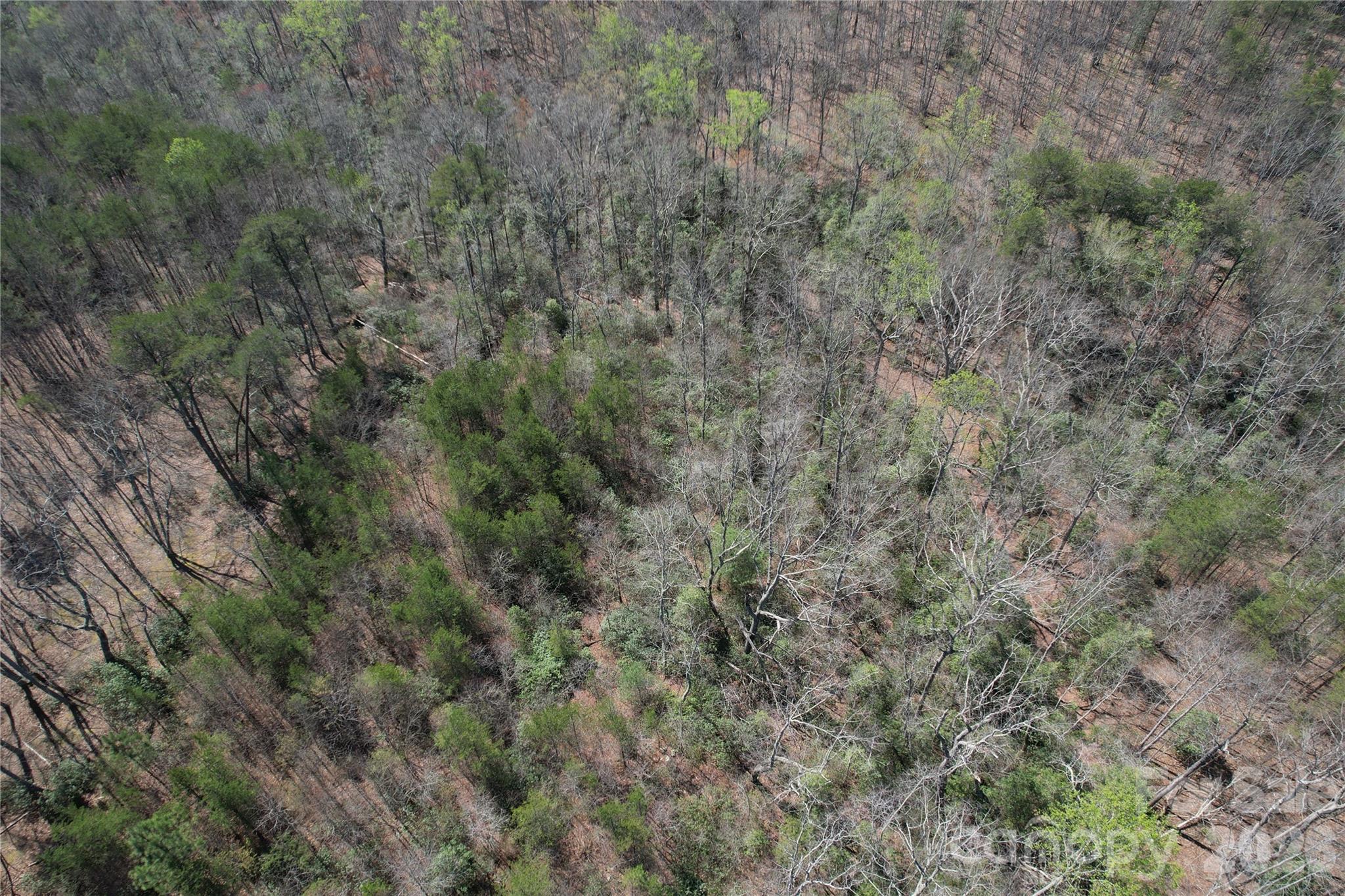 Acreage at 335 Woodrow Hoyle Road, Casar, photo 31 of 32
