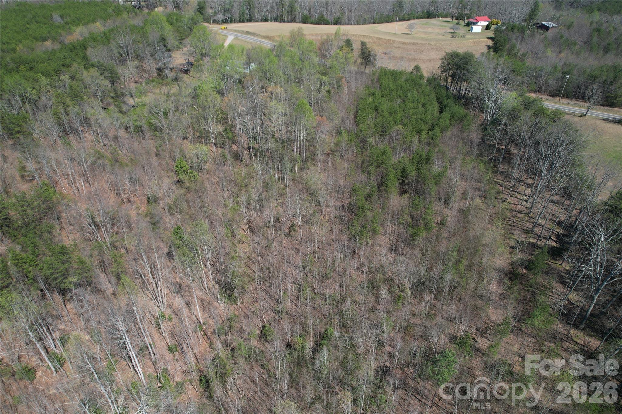 Acreage at 335 Woodrow Hoyle Road, Casar, photo 32 of 32