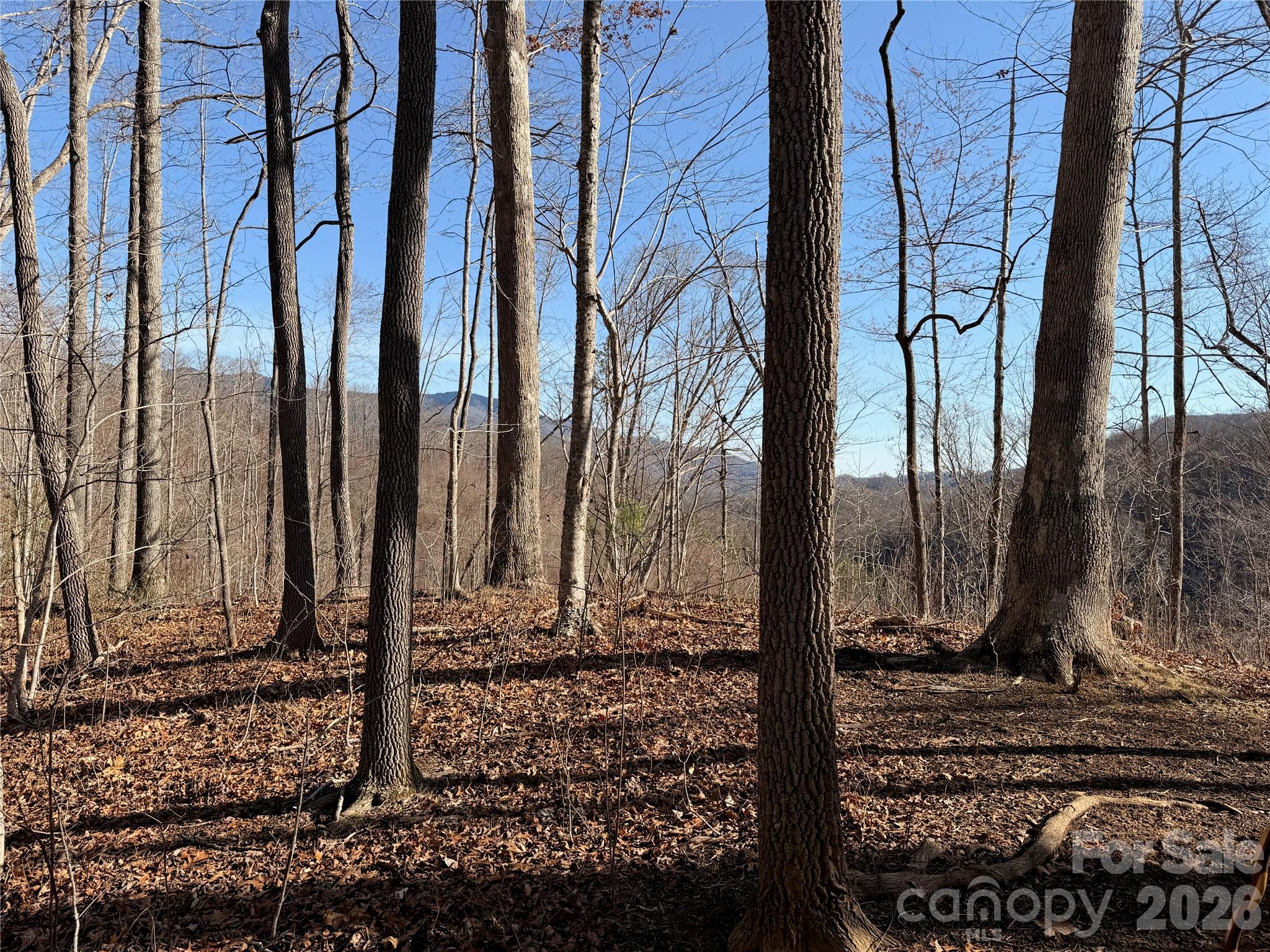 0 Posey Blanton Road