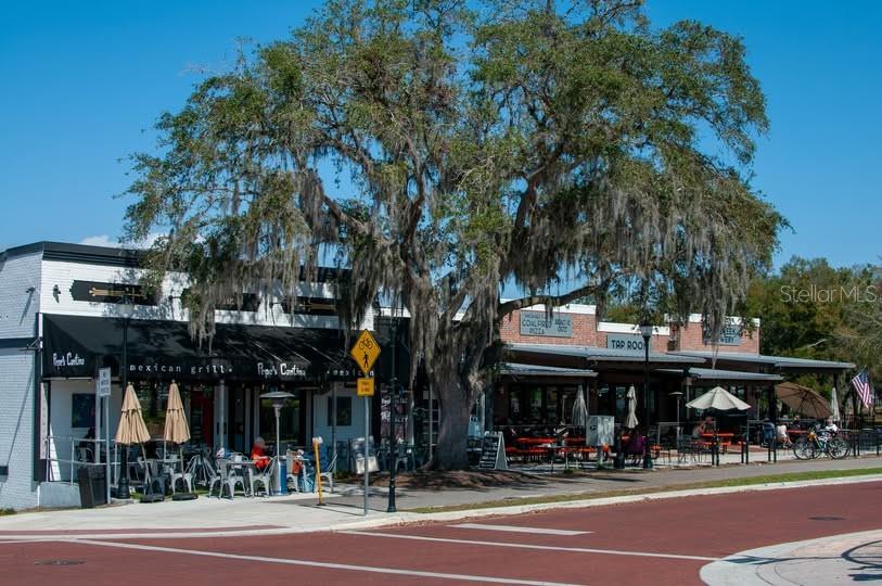 Just minutes from home – charming cafes, weekend markets, and lakeside dining await in downtown Clermont. - 157 TRANQUIL MIRROR LAKE CT #Lot 10, CLERMONT