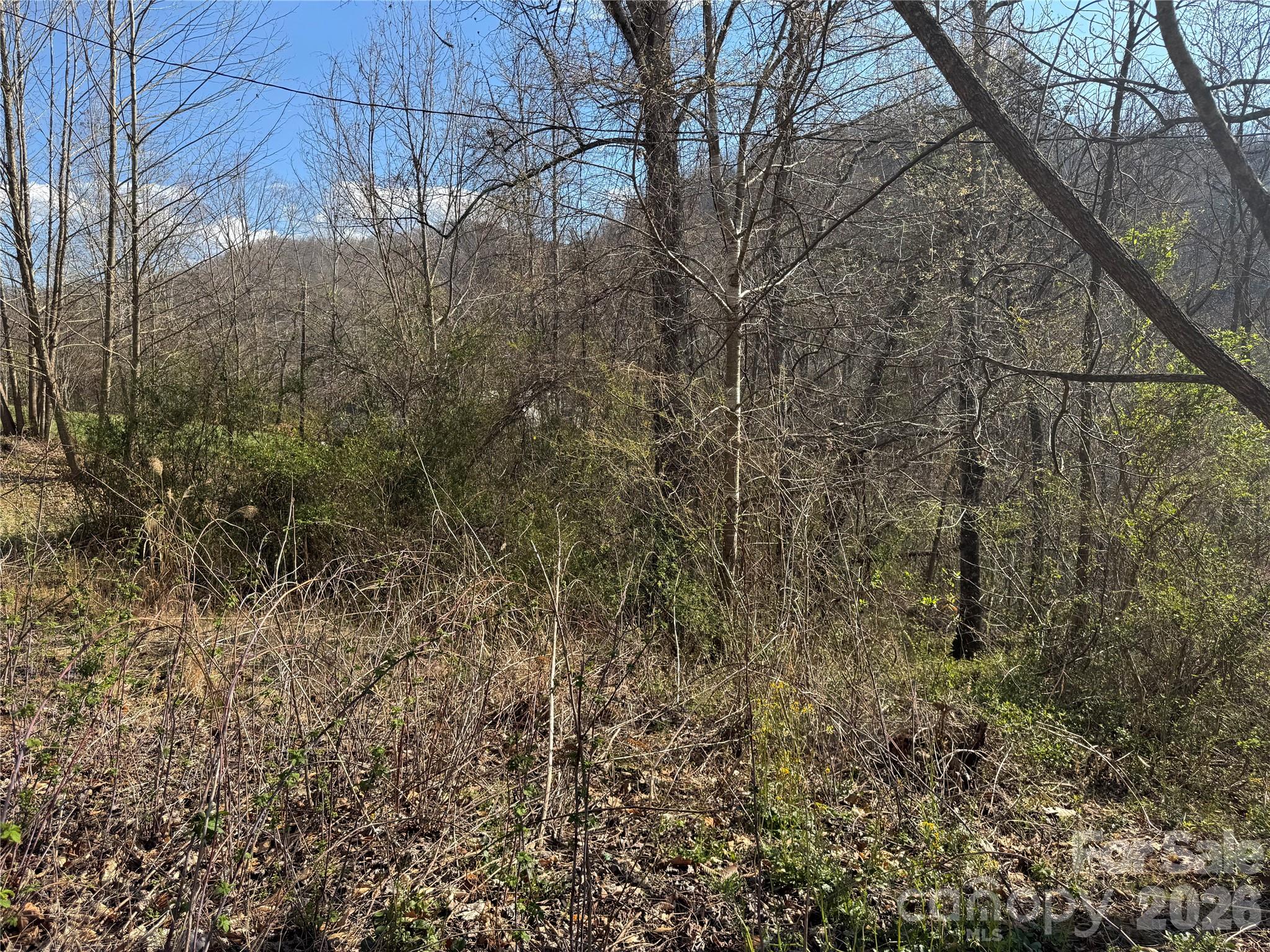 Lot at 9999 Ox Creek Road, Weaverville