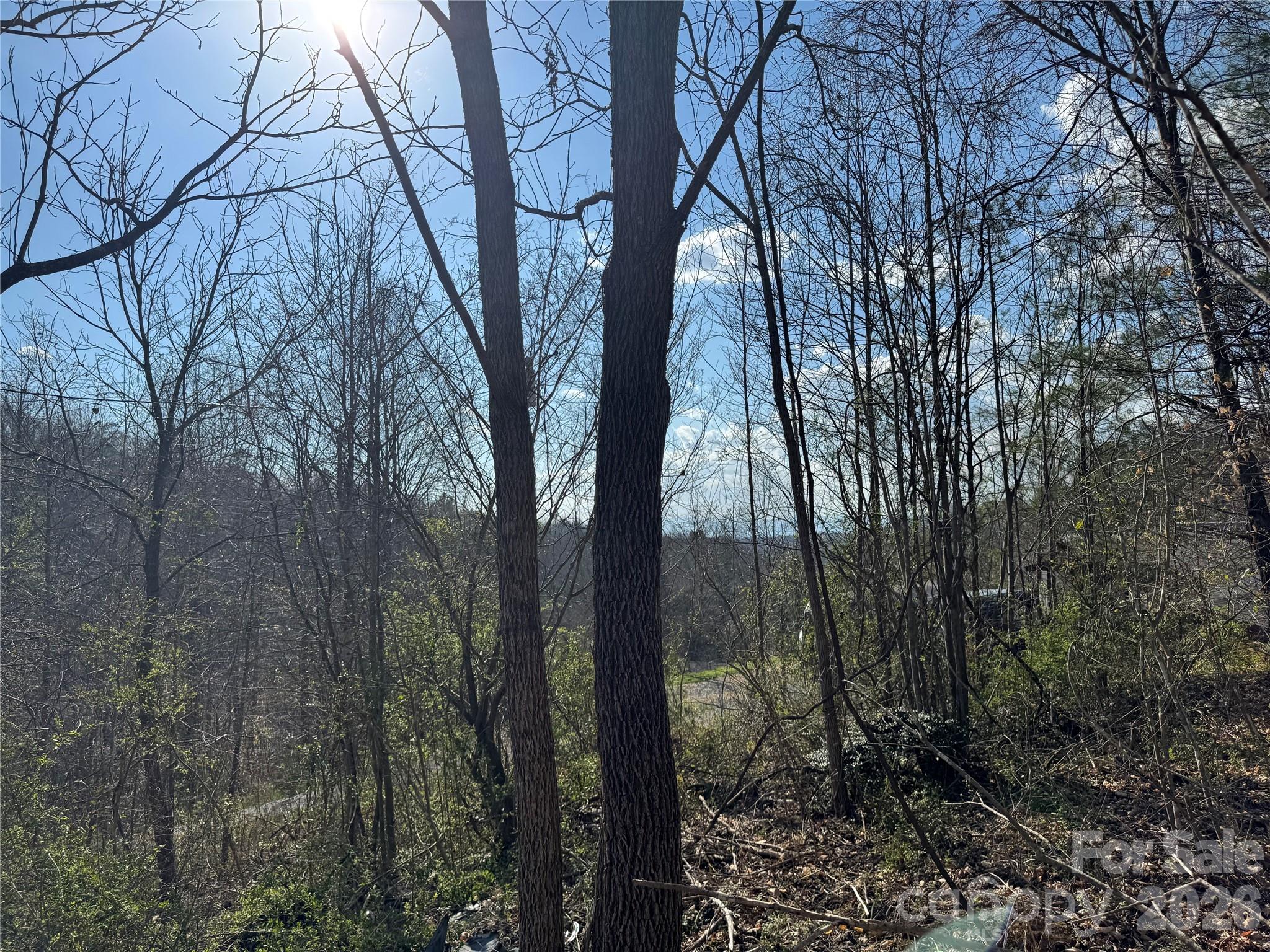 Lot at 9999 Ox Creek Road, Weaverville, photo 2 of 15