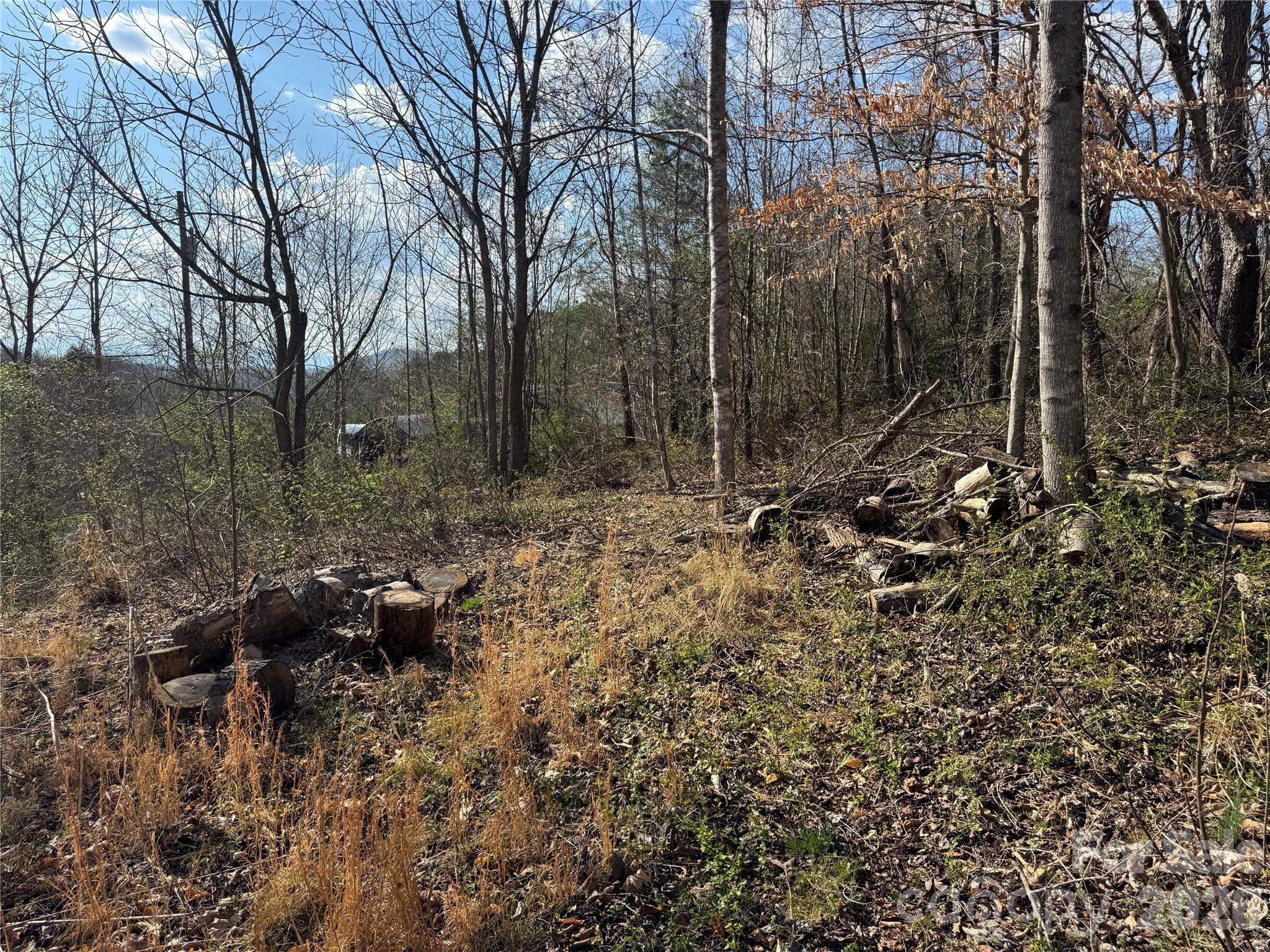 Lot at 9999 Ox Creek Road, Weaverville, photo 3 of 15