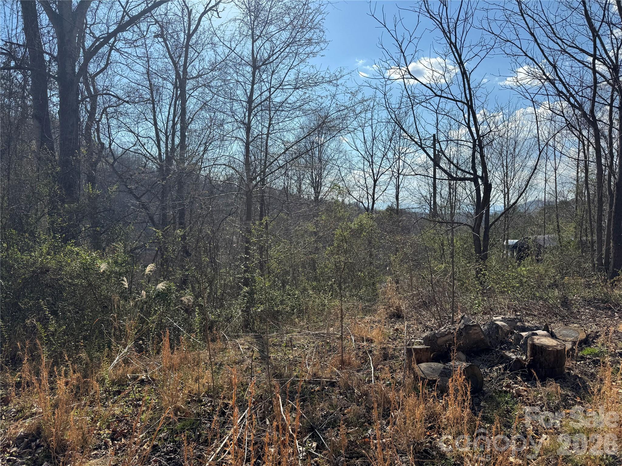 Lot at 9999 Ox Creek Road, Weaverville, photo 4 of 15
