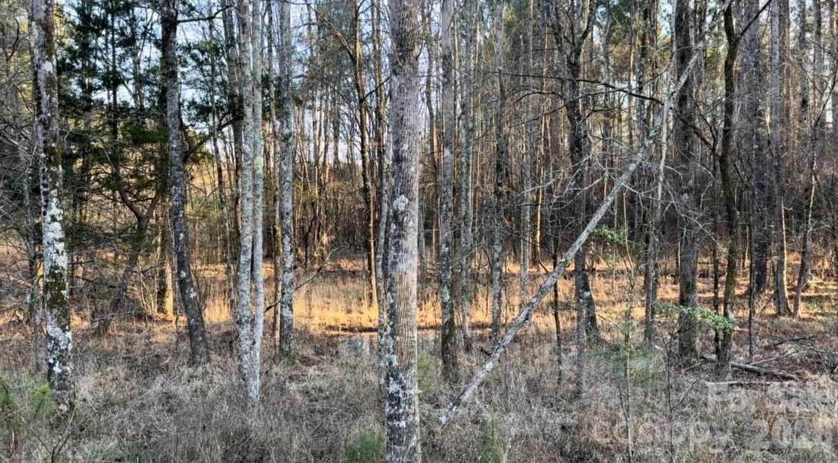 Lot at 8066 Gulf Creek Road, Lancaster, photo 5 of 47