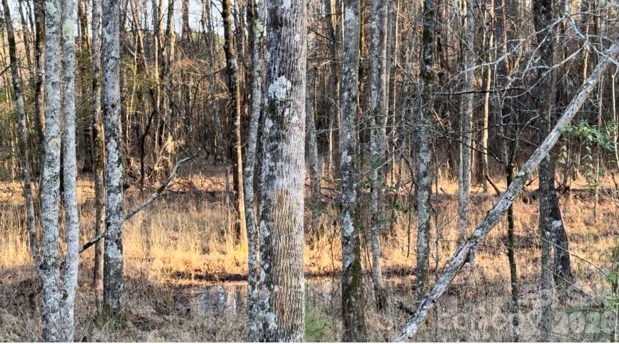 Lot at 8066 Gulf Creek Road, Lancaster, photo 7 of 47
