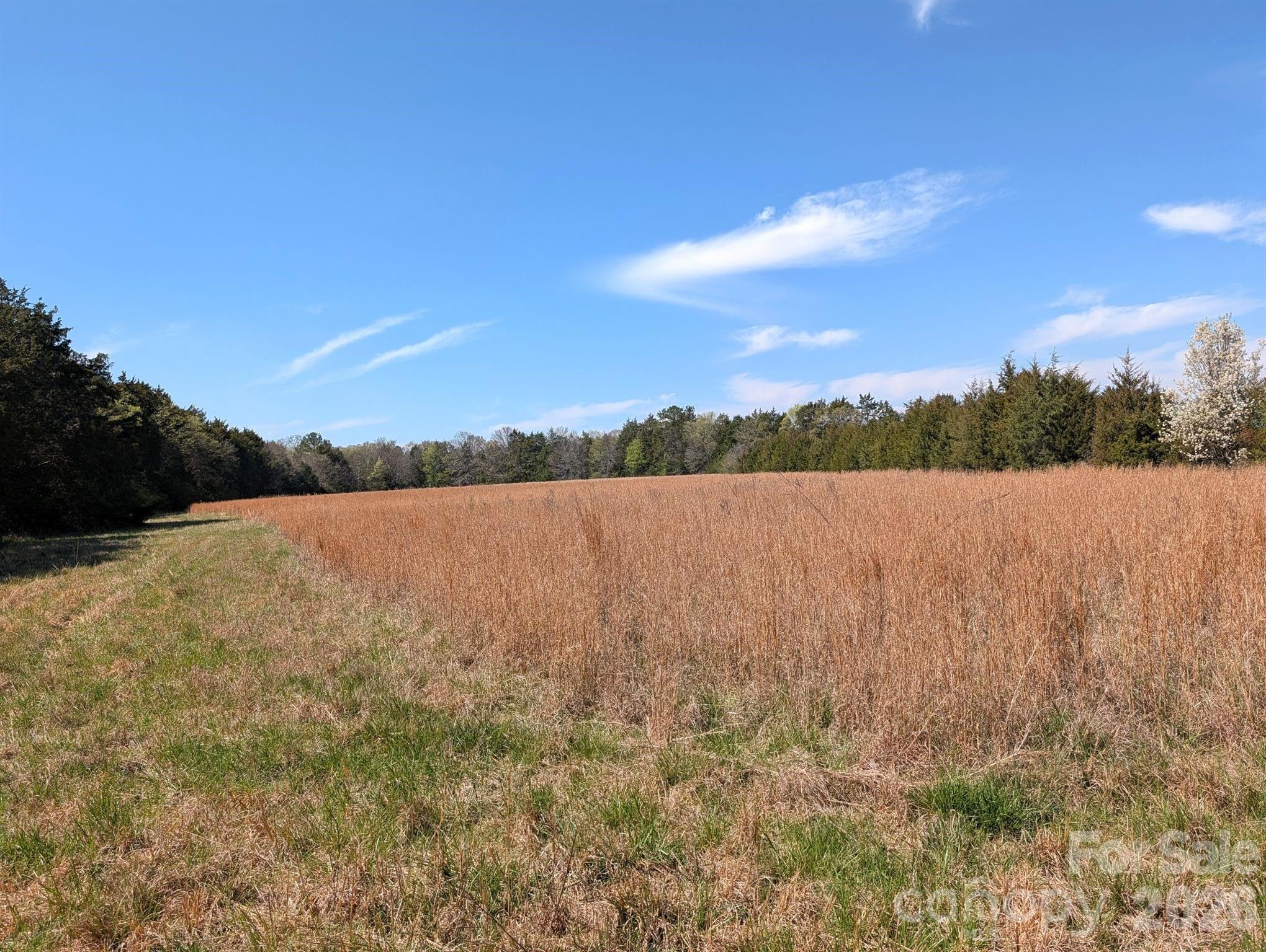 Acreage at Tract 23 Hwy 72 Highway, Rock Hill, photo 2 of 46