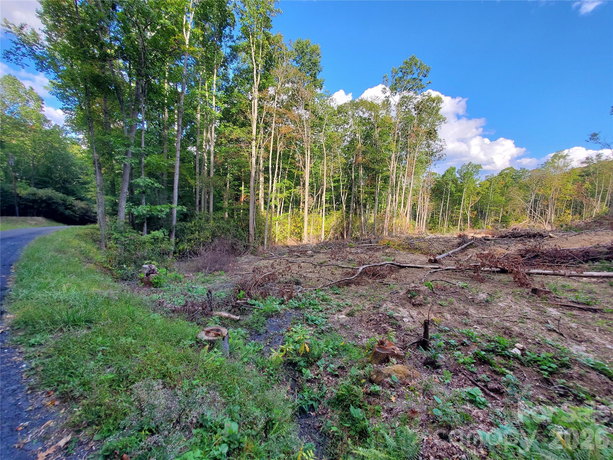 Lot at Lot 28 Parkwood Hill Road, Spruce Pine, photo 9 of 10