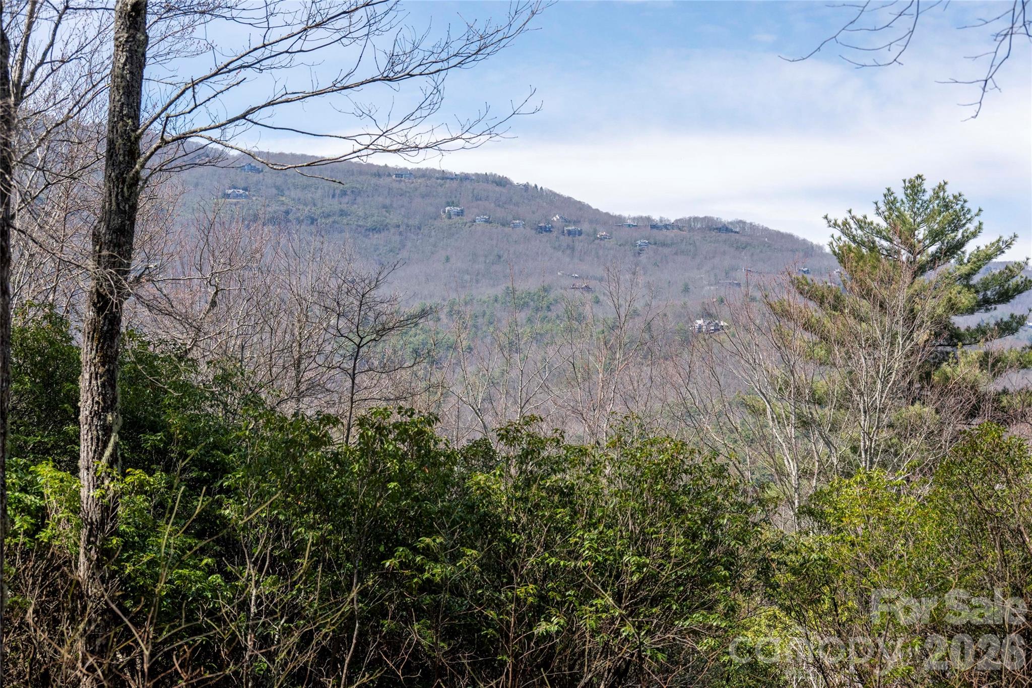 Lot at Lot 14 Lakeside Drive, Lake Toxaway, photo 5 of 17