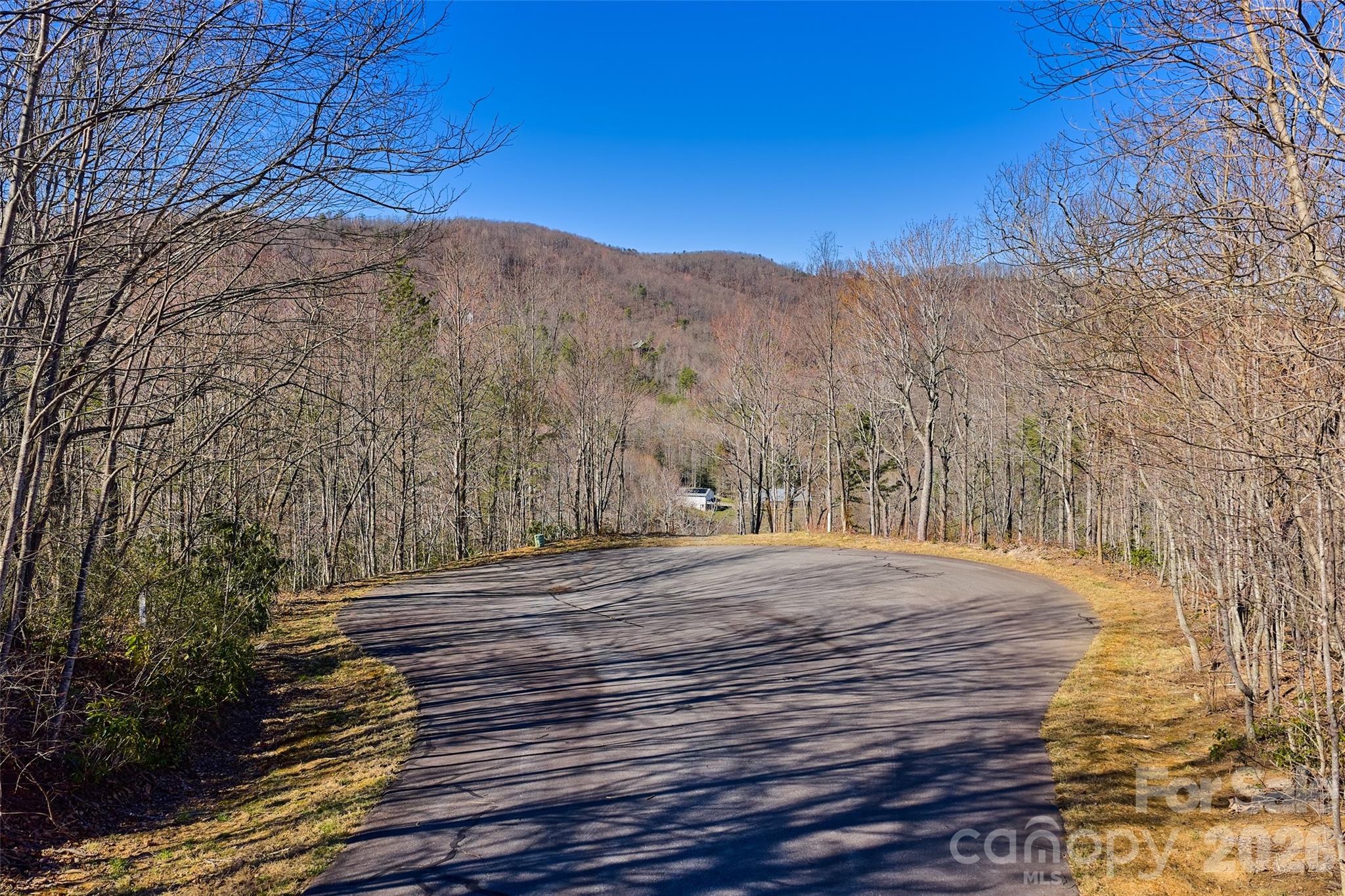 Lot at 459/461 Feather Falls Trail, Black Mountain, photo 4 of 9