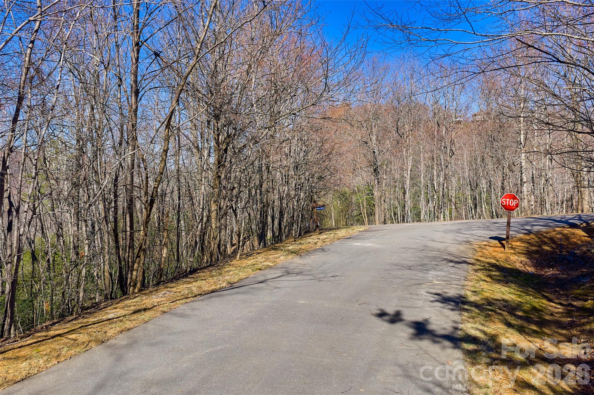 Lot at 459/461 Feather Falls Trail, Black Mountain, photo 5 of 9