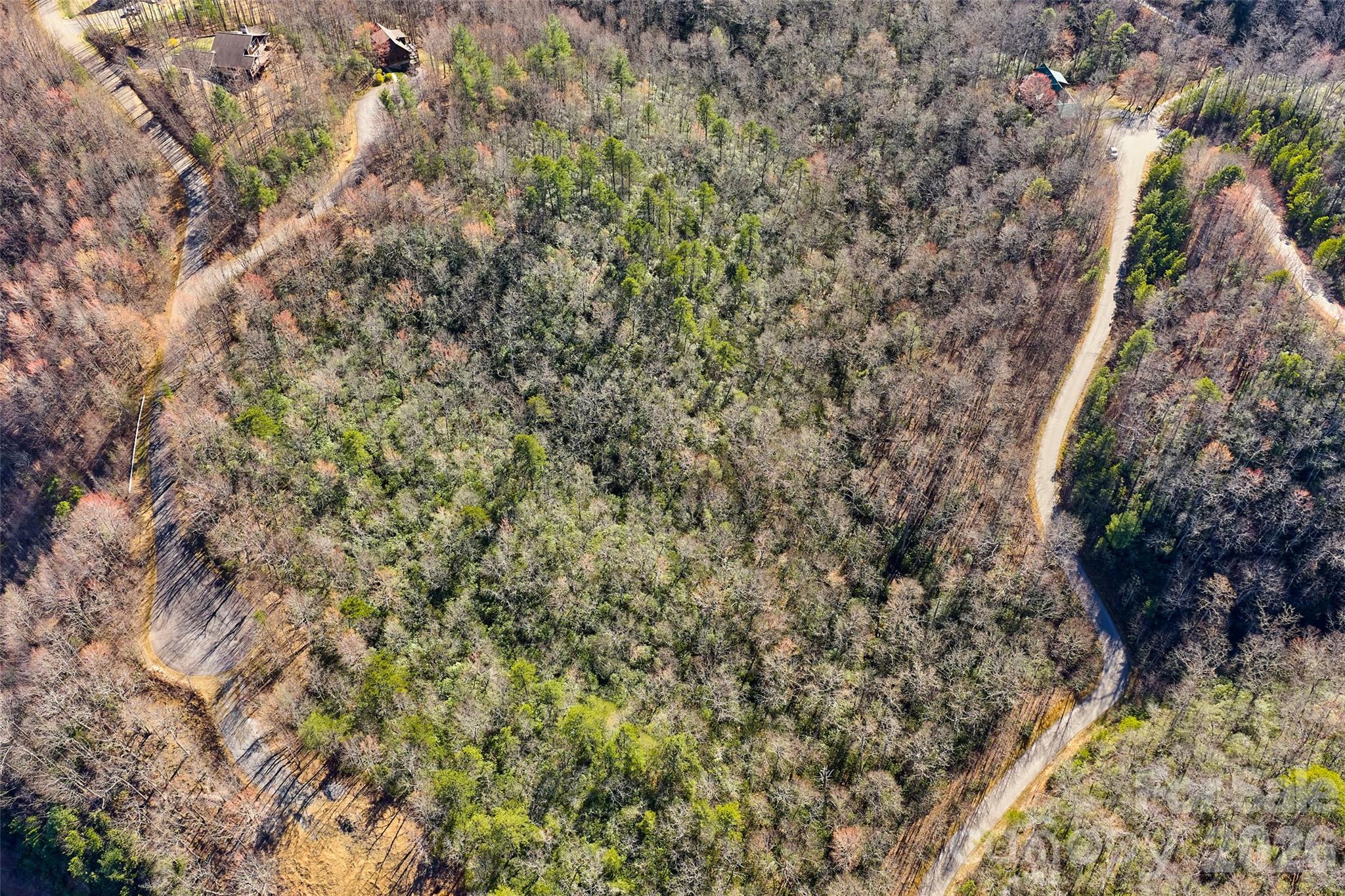 Lot at 459/461 Feather Falls Trail, Black Mountain, photo 8 of 9