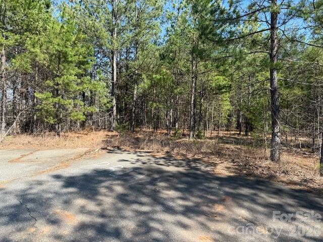 Lot at 00 Hope Drive, Rutherfordton, photo 4 of 21
