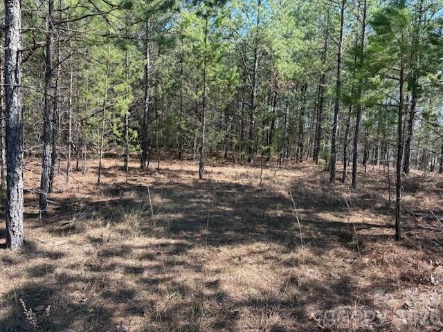Lot at 00 Hope Drive, Rutherfordton, photo 5 of 21