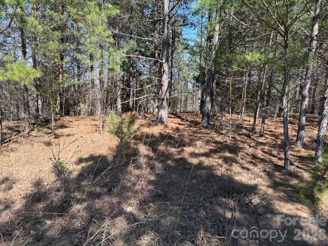 Lot at 00 Hope Drive, Rutherfordton, photo 6 of 21