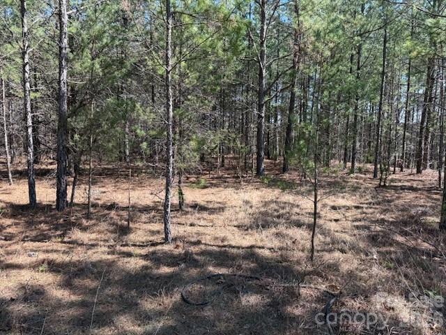 Lot at 00 Hope Drive, Rutherfordton, photo 7 of 21