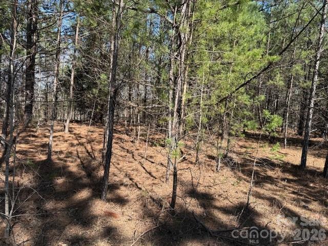 Lot at 00 Hope Drive, Rutherfordton, photo 8 of 21