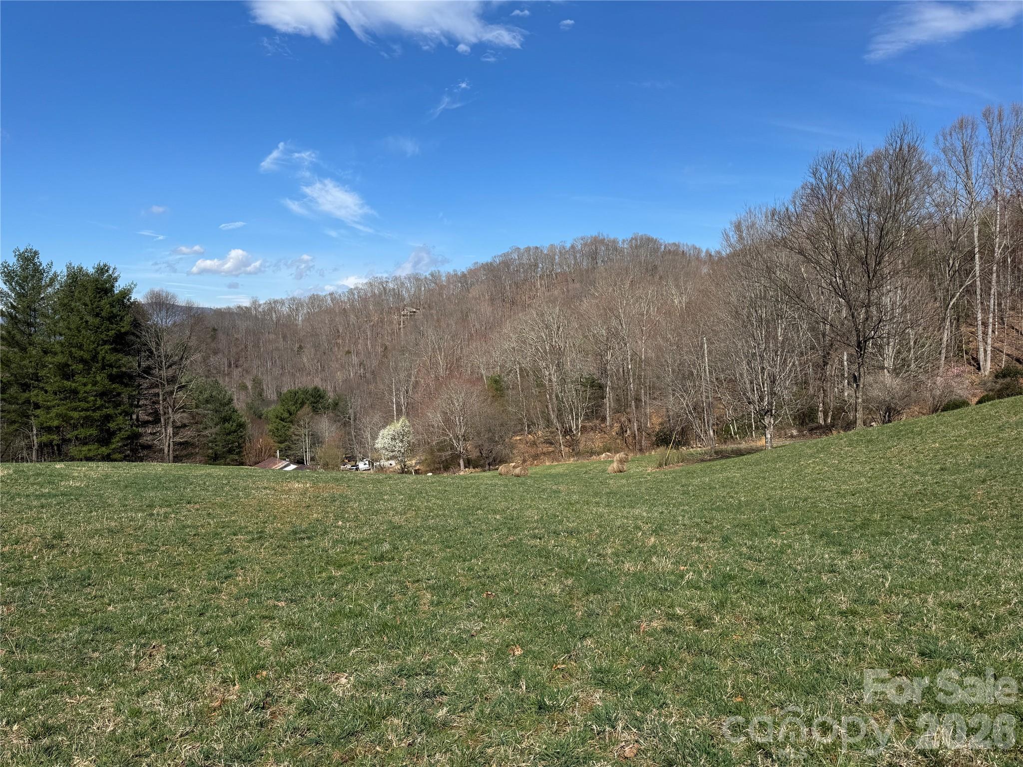 Acreage at 270 Anielee Lane, Clyde, photo 3 of 32
