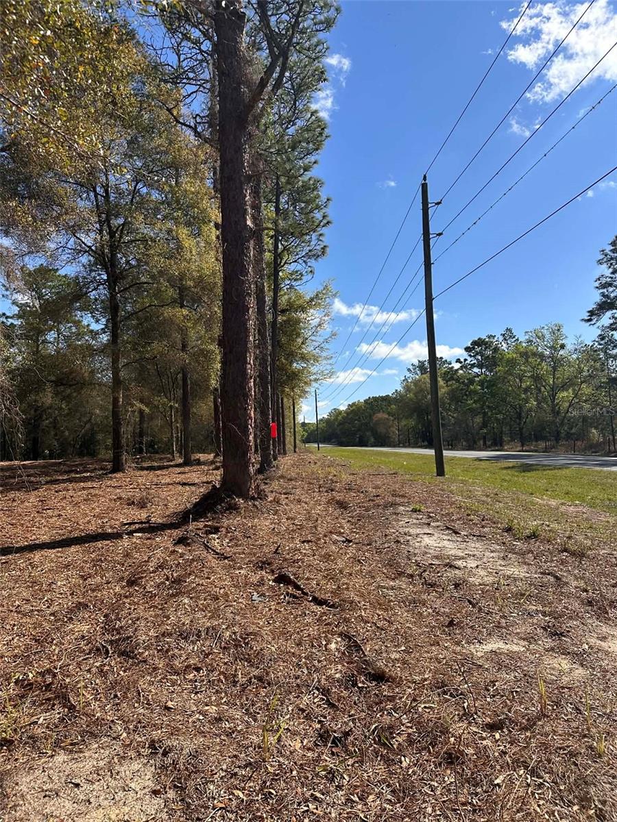 Land at 0 W HWY 40, OCALA, photo 8 of 11