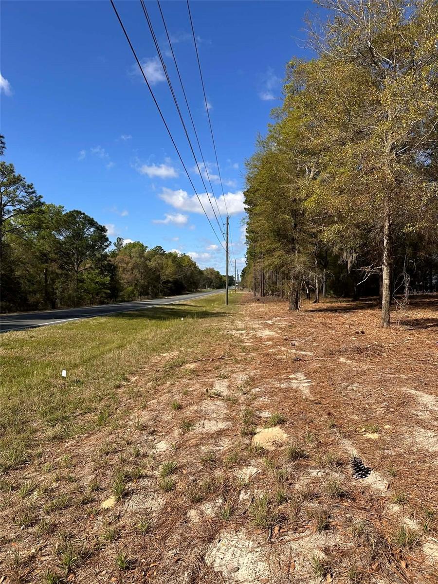 Land at 0 W HWY 40, OCALA, photo 9 of 11