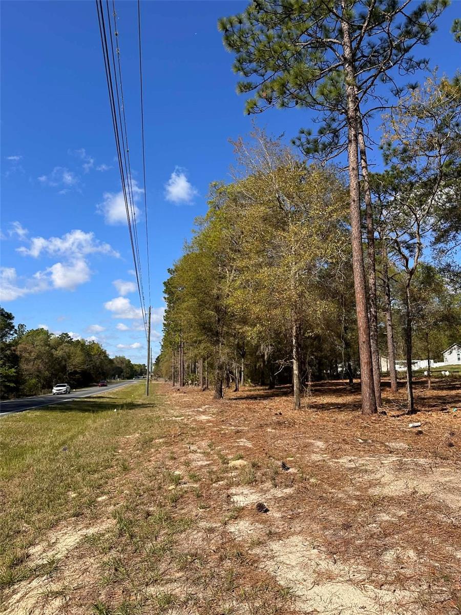 Land at 0 W HWY 40, OCALA, photo 10 of 11