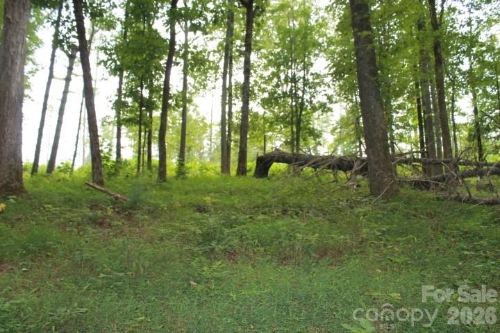 Lot at 374 E Settings Boulevard NW, Valdese, photo 3 of 17