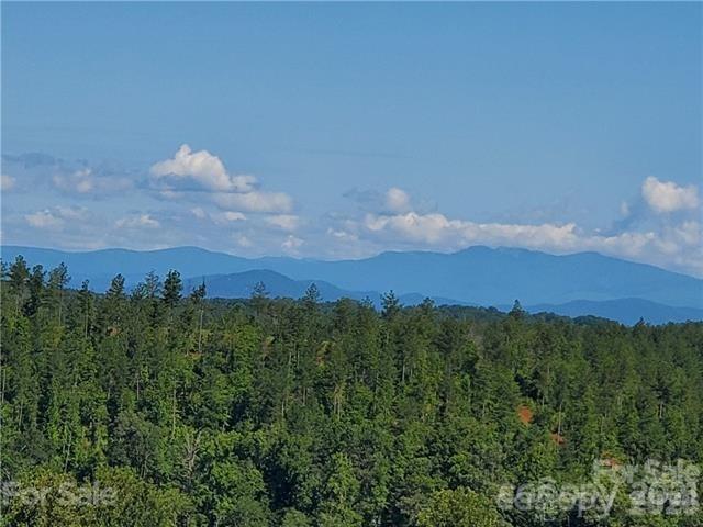 Lot at 374 E Settings Boulevard NW, Valdese, photo 14 of 17