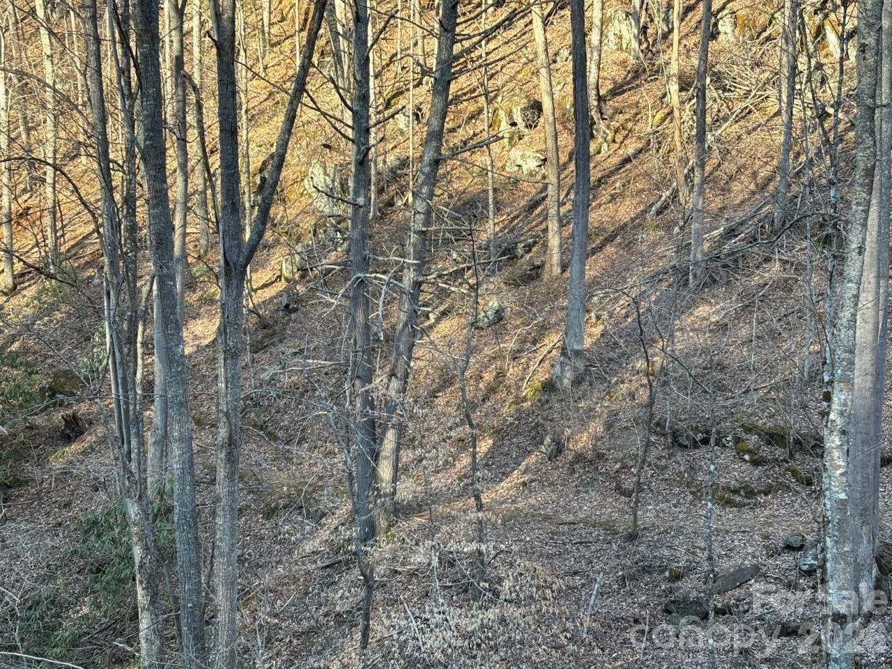 Portfolio at 324 Marble Mine Road, Bakersville, photo 5 of 46