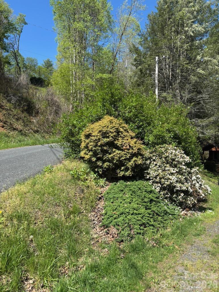 Portfolio at 324 Marble Mine Road, Bakersville, photo 24 of 46