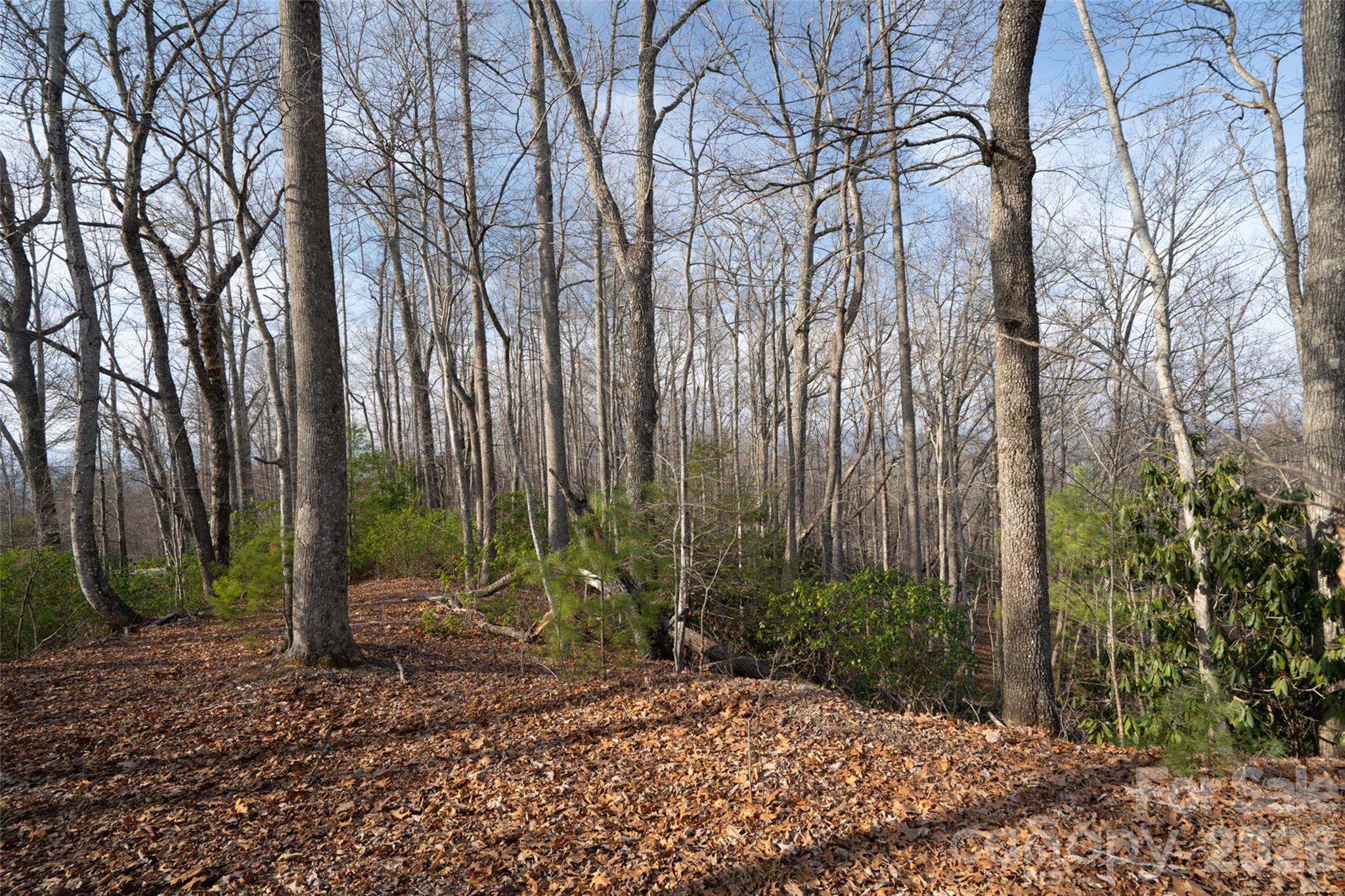 Lot at 29 Open Ridge Trail, Pisgah Forest, photo 2 of 16