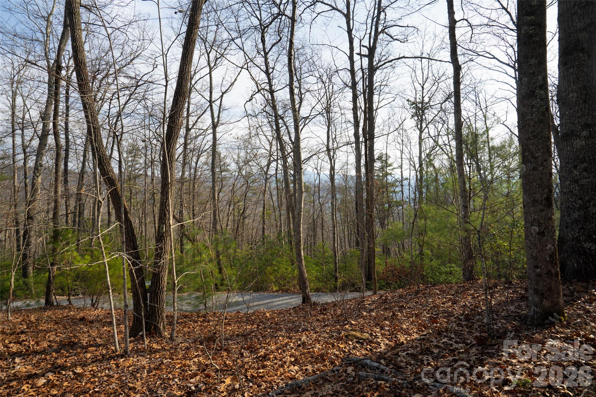 Lot at 29 Open Ridge Trail, Pisgah Forest, photo 3 of 16