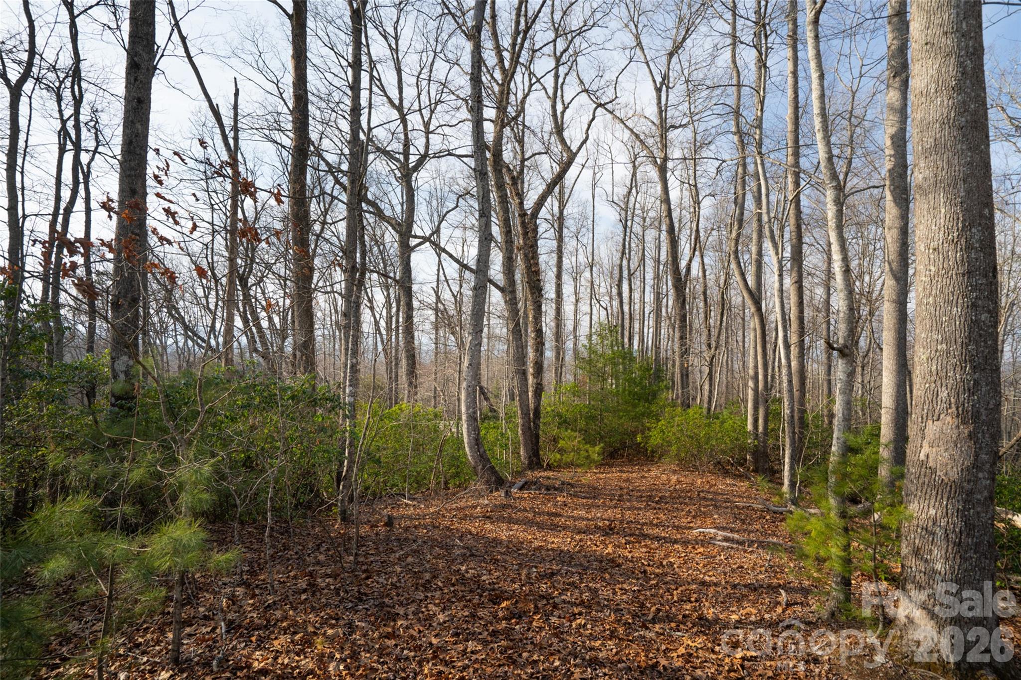 Lot at 29 Open Ridge Trail, Pisgah Forest, photo 4 of 16