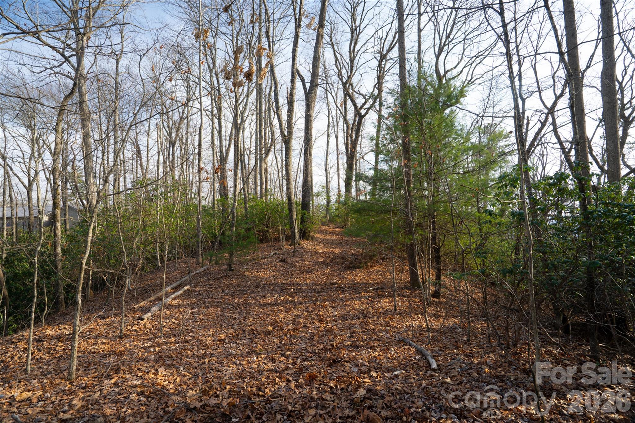 Lot at 29 Open Ridge Trail, Pisgah Forest, photo 5 of 16