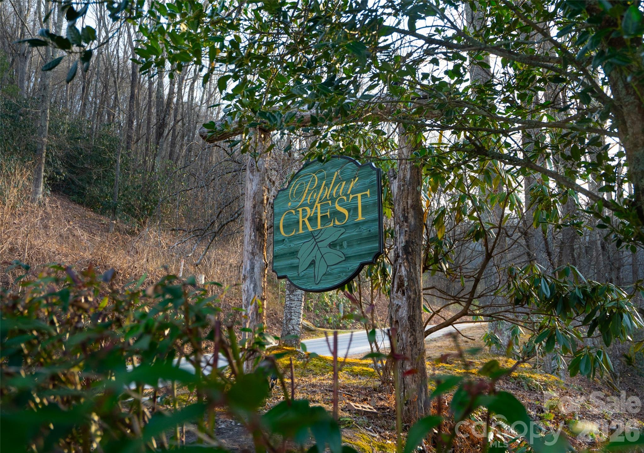 Lot at 29 Open Ridge Trail, Pisgah Forest, photo 8 of 16